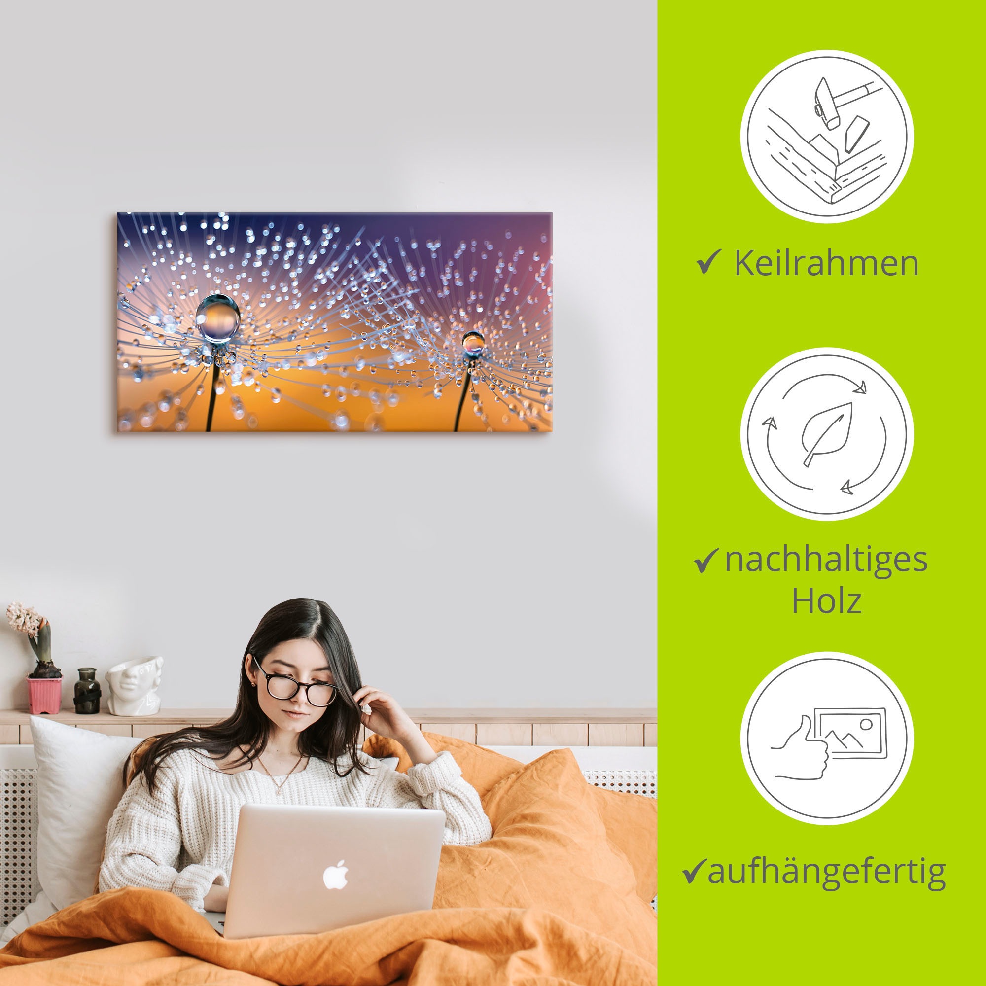 Artland Wandbild »Pusteblumen Tautropfen«, Blumenbilder, (1 St.), als Alubild, Outdoorbild, Leinwandbild, Poster, Wandaufkleber