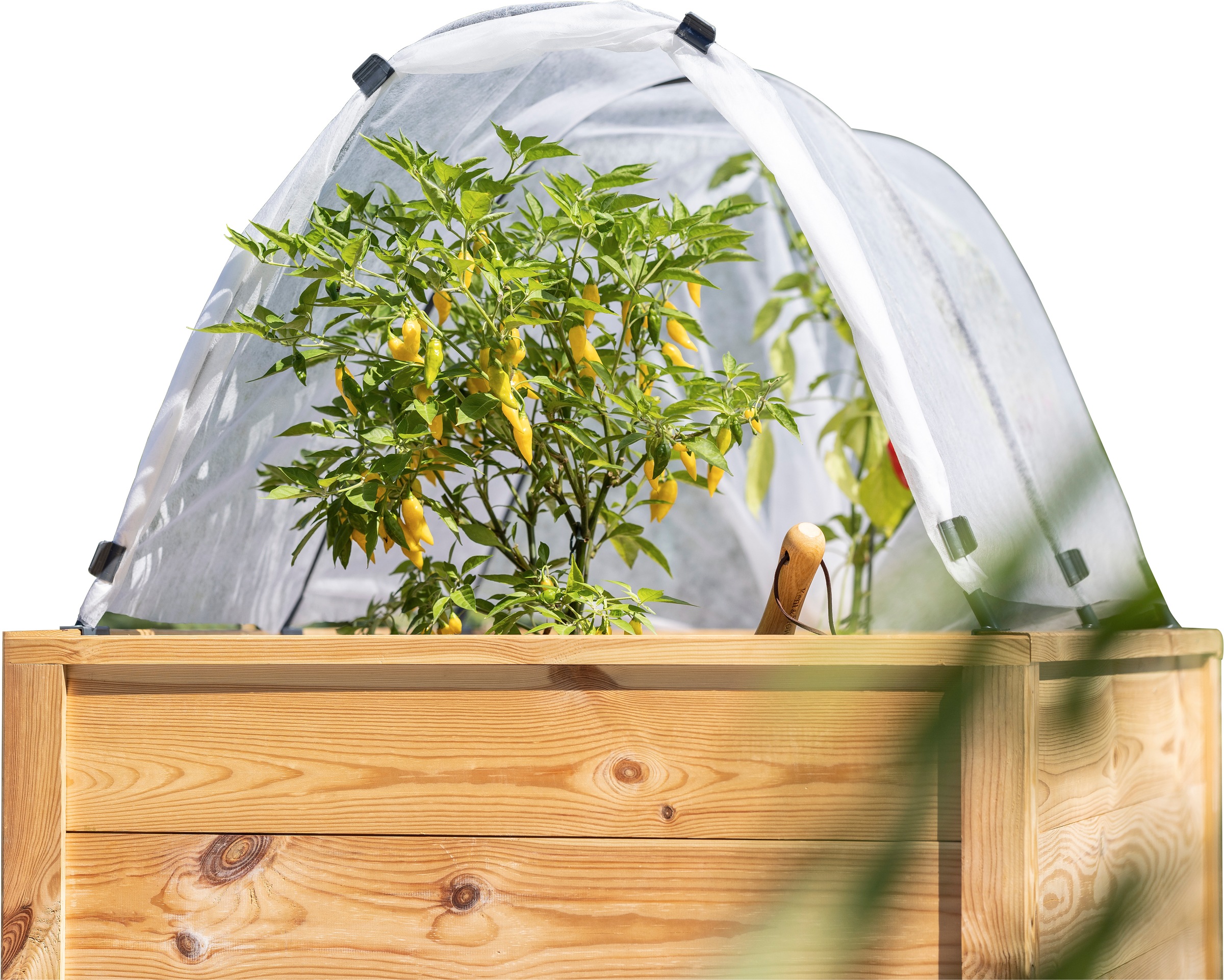 Windhager Hochbeet "Tunnelbogen Komplettset, Insektenschutz und Wachstumsvlies" Pflanztunnel für Frühbeet, wachstumsfördernd, 4 x 2 m, weiß