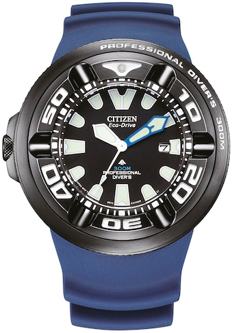 Taucheruhr »Promaster Professional Diver 300«, Armbanduhr, Herrenuhr, Solar