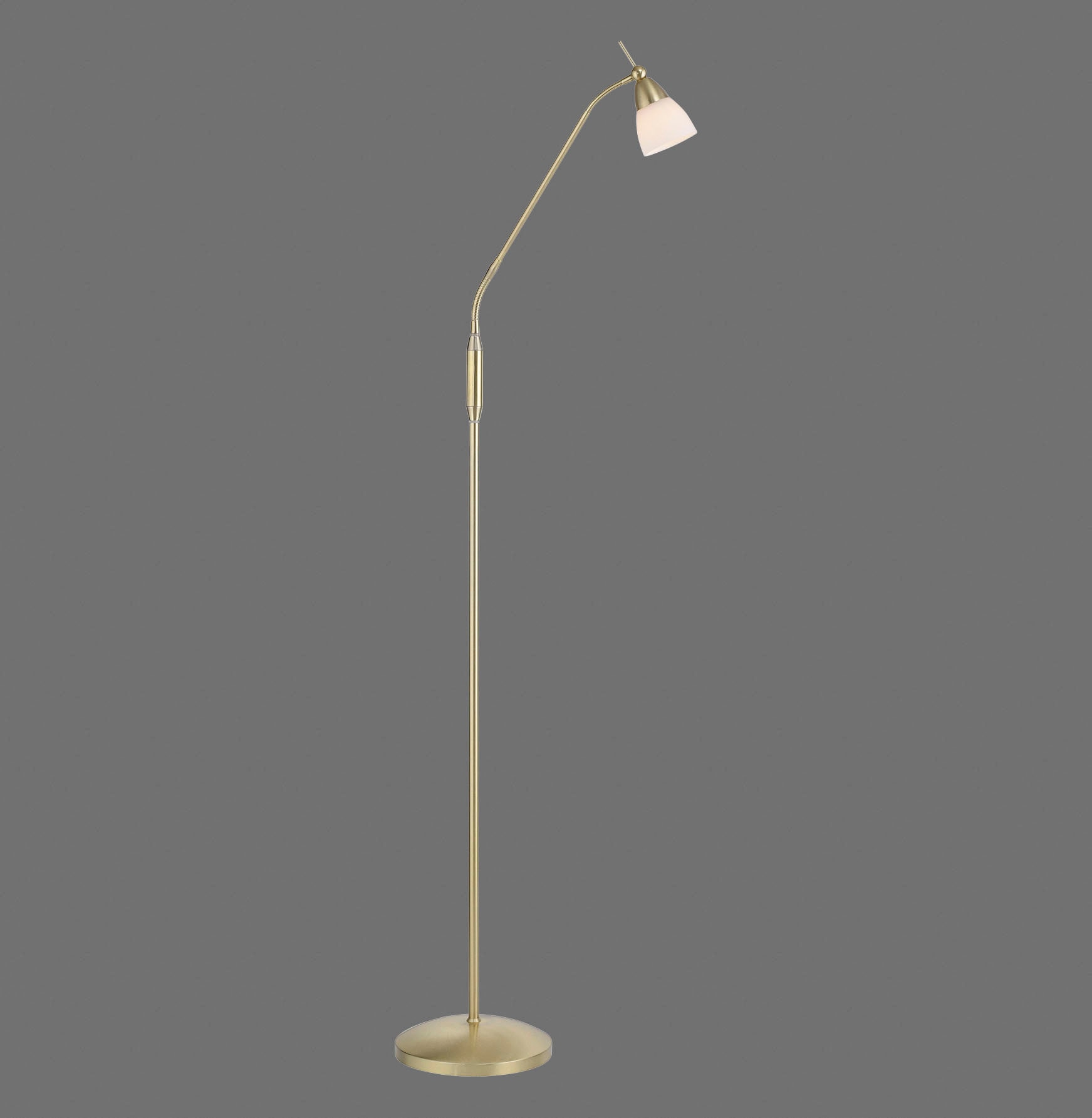 Paul Neuhaus Stehlampe »PINO«, 1 flammig, Leuchtmittel G9 | LED wechselbar
