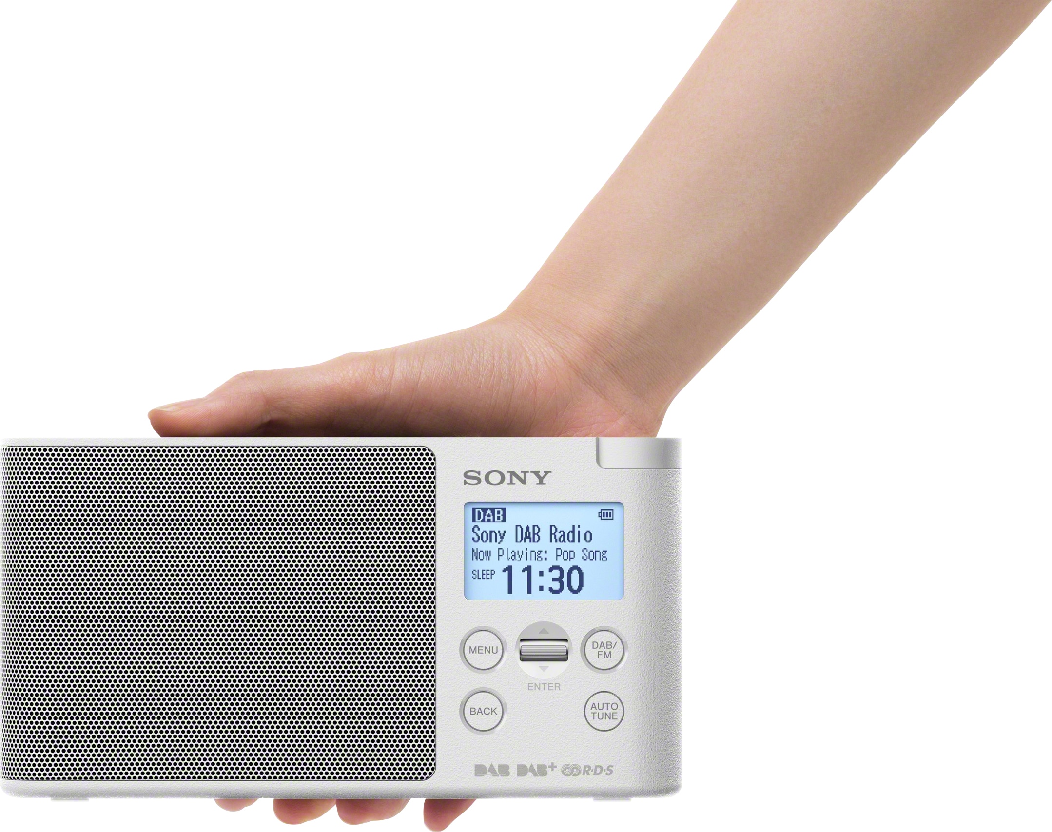 Sony Digitalradio BAUR RDS (DAB+) (DAB+)-UKW W) | Tragbares-«, 0,65 (FM-Tuner-Digitalradio mit »XDR-S41D