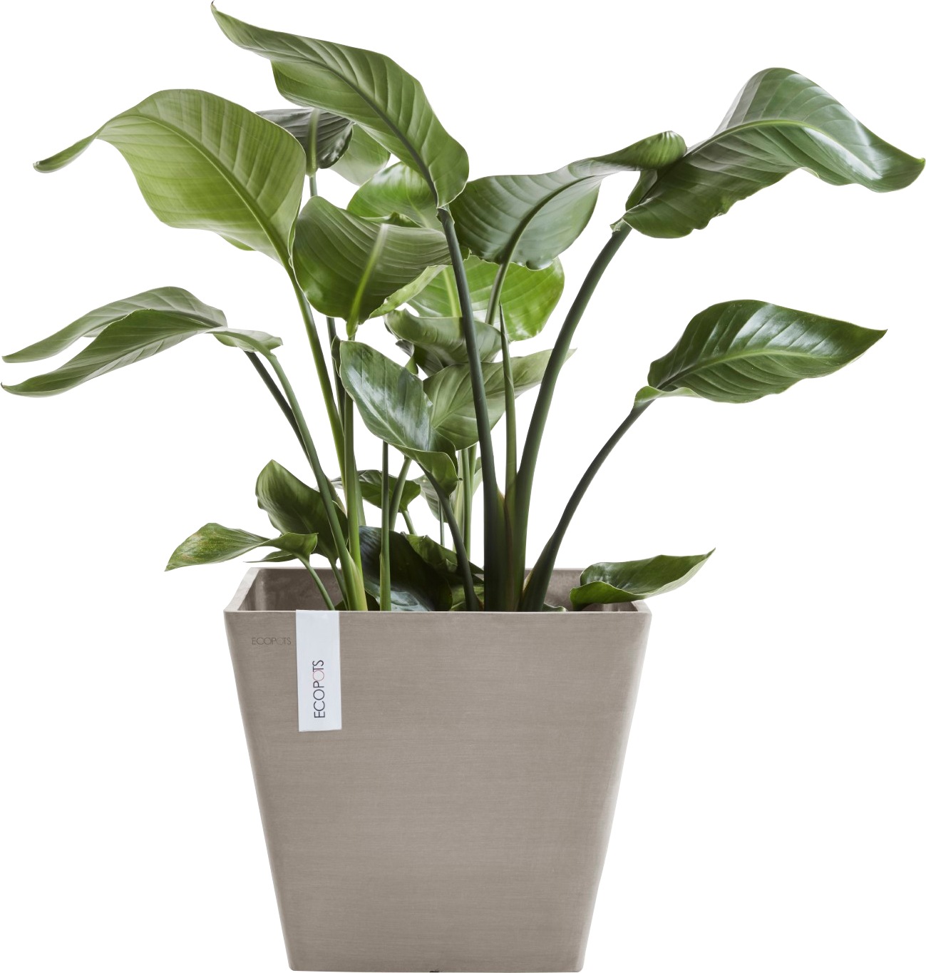 ECOPOTS Blumentopf »ROTTERDAM Taupe«, BxTxH: 50x50x44 cm