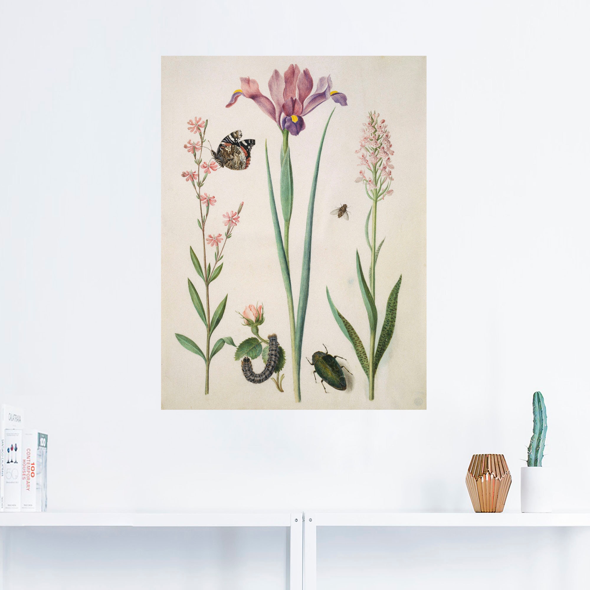 Artland Wandbild »Admiral, Rose Iris Knabenkraut.«, Pflanzen, (1 St.), als Poster, Wandaufkleber in verschied. Größen