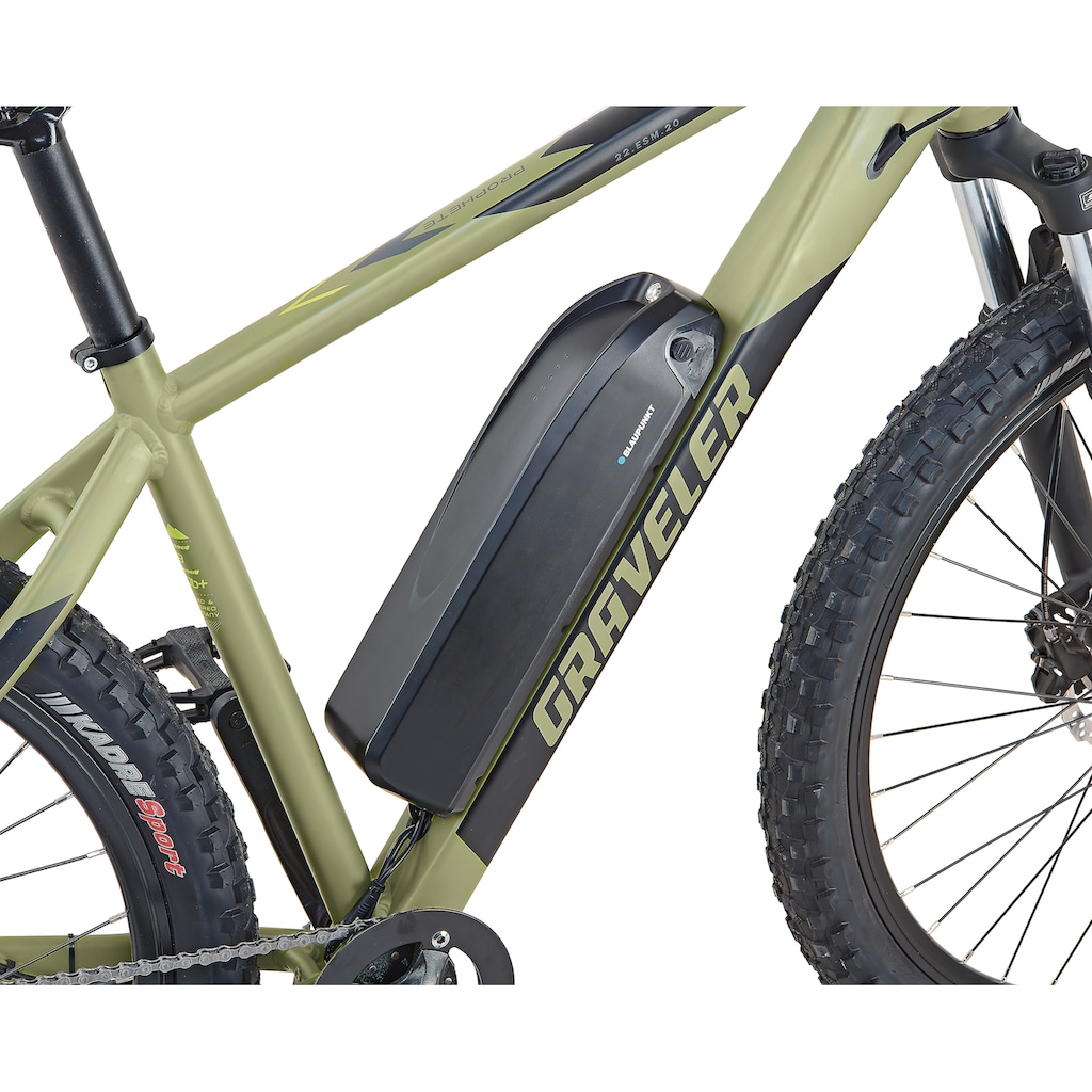 Prophete E-Bike »Graveler 22.ESM.20«, 8 Gang, Shimano, Altus, Heckmotor 250 W