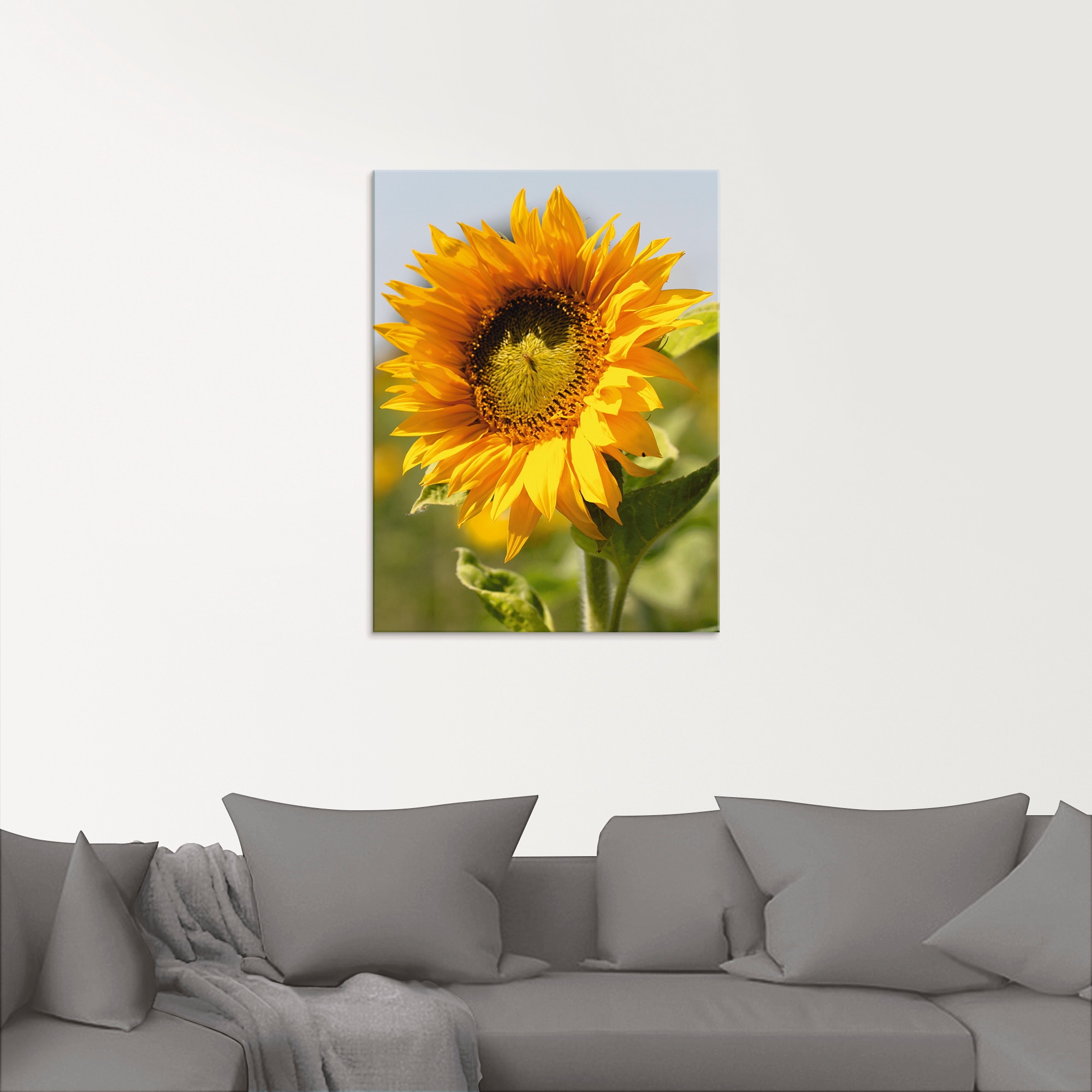 Artland BAUR in »Sonnenblume Glasbild | Blumen, Größen verschiedenen Nahaufnahme«, (1 St.), bestellen