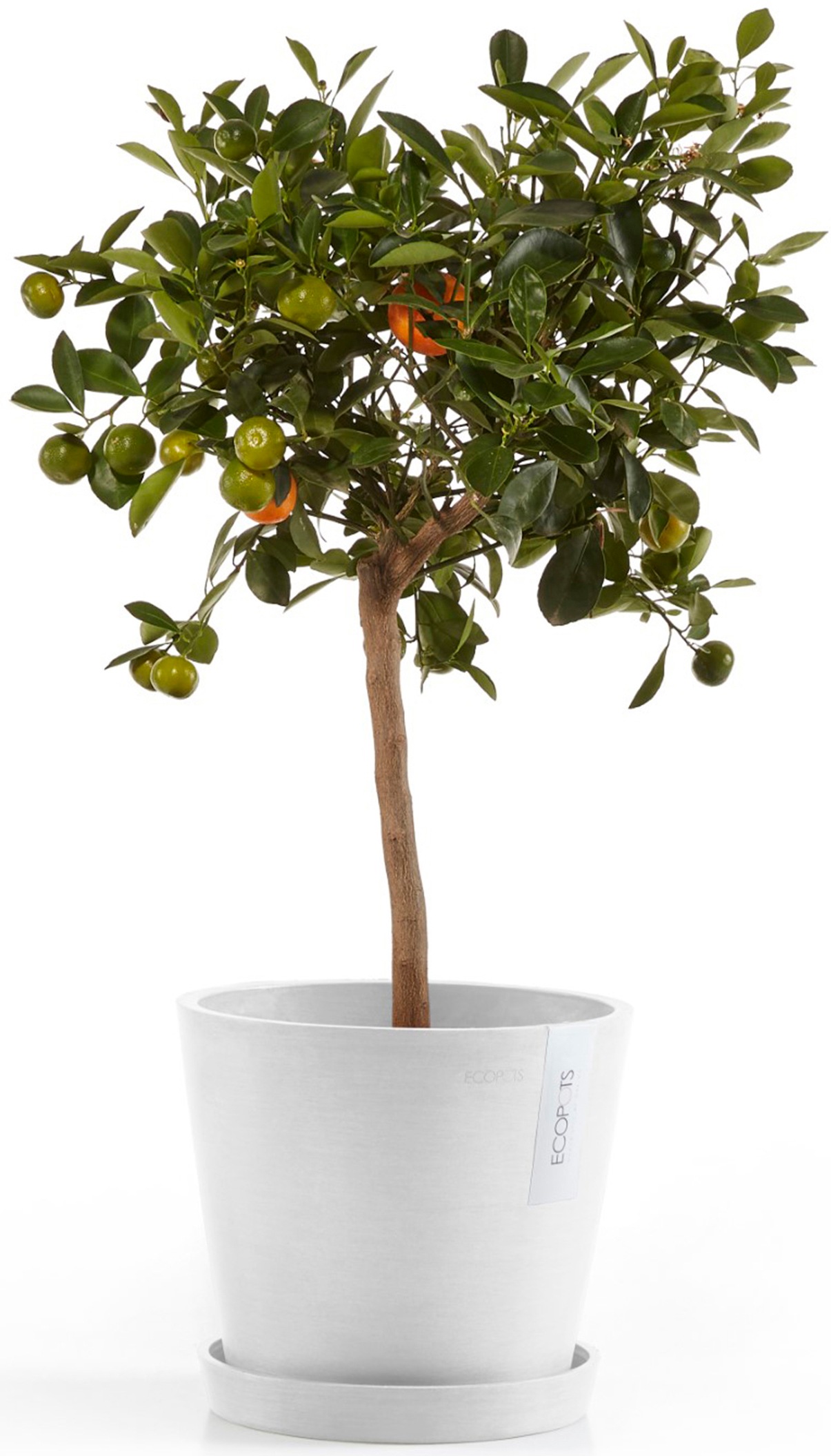 ECOPOTS Blumentopf »Amsterdam 20 + Wassersystem Weißgrau«, für innen und außen: frostsicher, bruchsicher und lichtbeständig