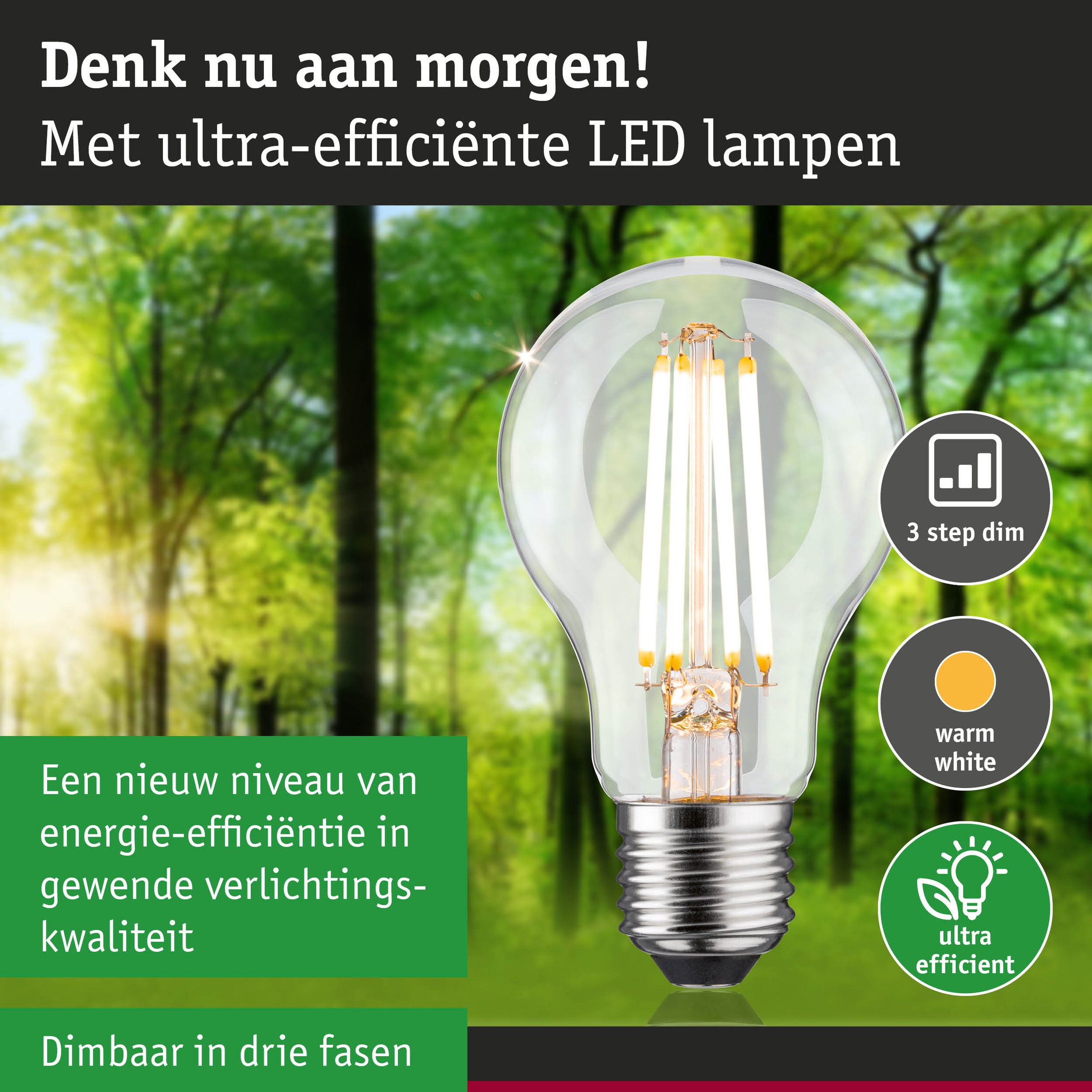 Paulmann LED-Leuchtmittel »Eco-Line Filament 230V LED Birne E27 806lm 4,3W 3000K dimmbar Klar«, E27, 1 St., Warmweiß