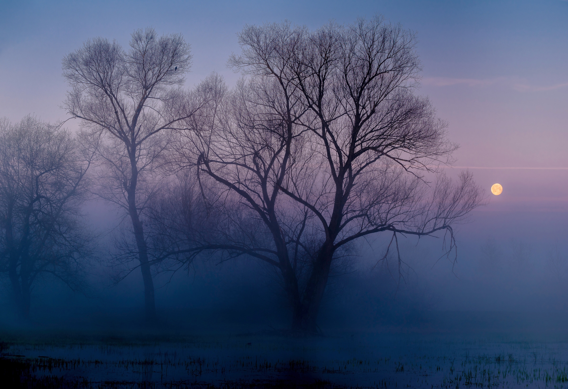 Papermoon Fototapete "Photo-Art ANDREAS AGAZZI, EIN WEITERER NEUER TAG"