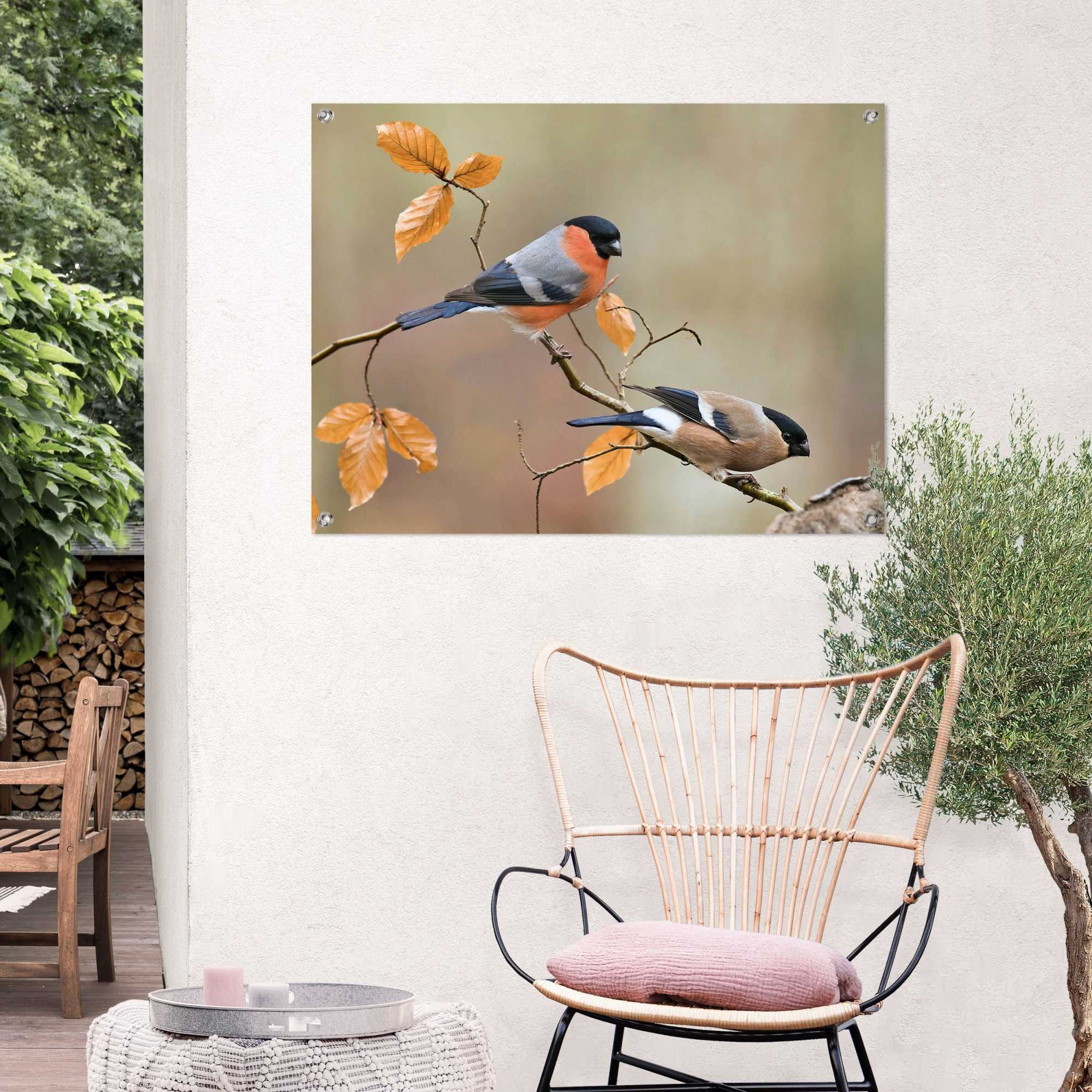 Reinders Poster "Gimpel", Outdoor für Garten oder Balkon günstig online kaufen