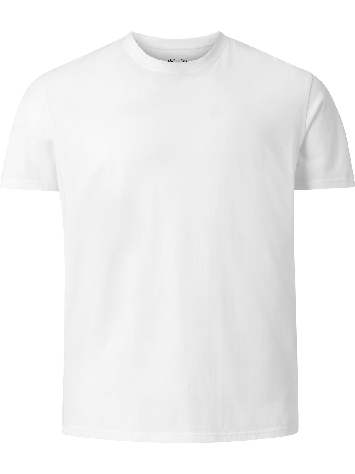 Charles Colby Rundhalsshirt »Doppelpack T-Shirt EARL BOON«, (2 tlg.), leger und schlicht (2er-Pack)