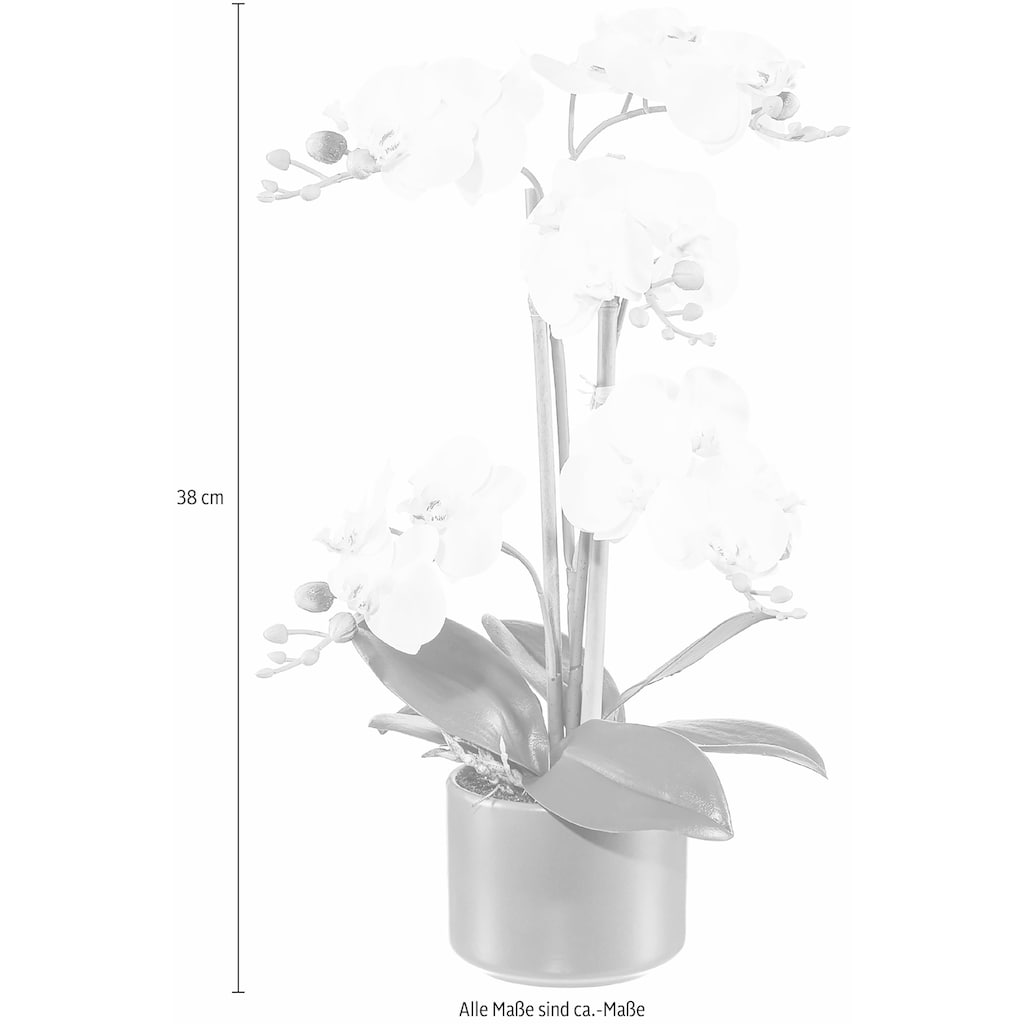 Creativ green Kunstpflanze »Orchidee«