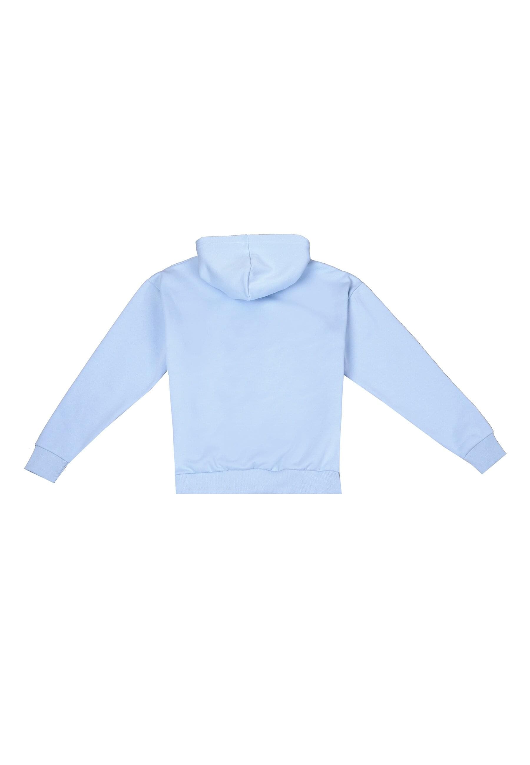 Dropsize Kapuzensweatshirt »Dropsize HEAVY OVERSIZE FROTTEE EMBO V2 HOODIE«, (1 tlg.)