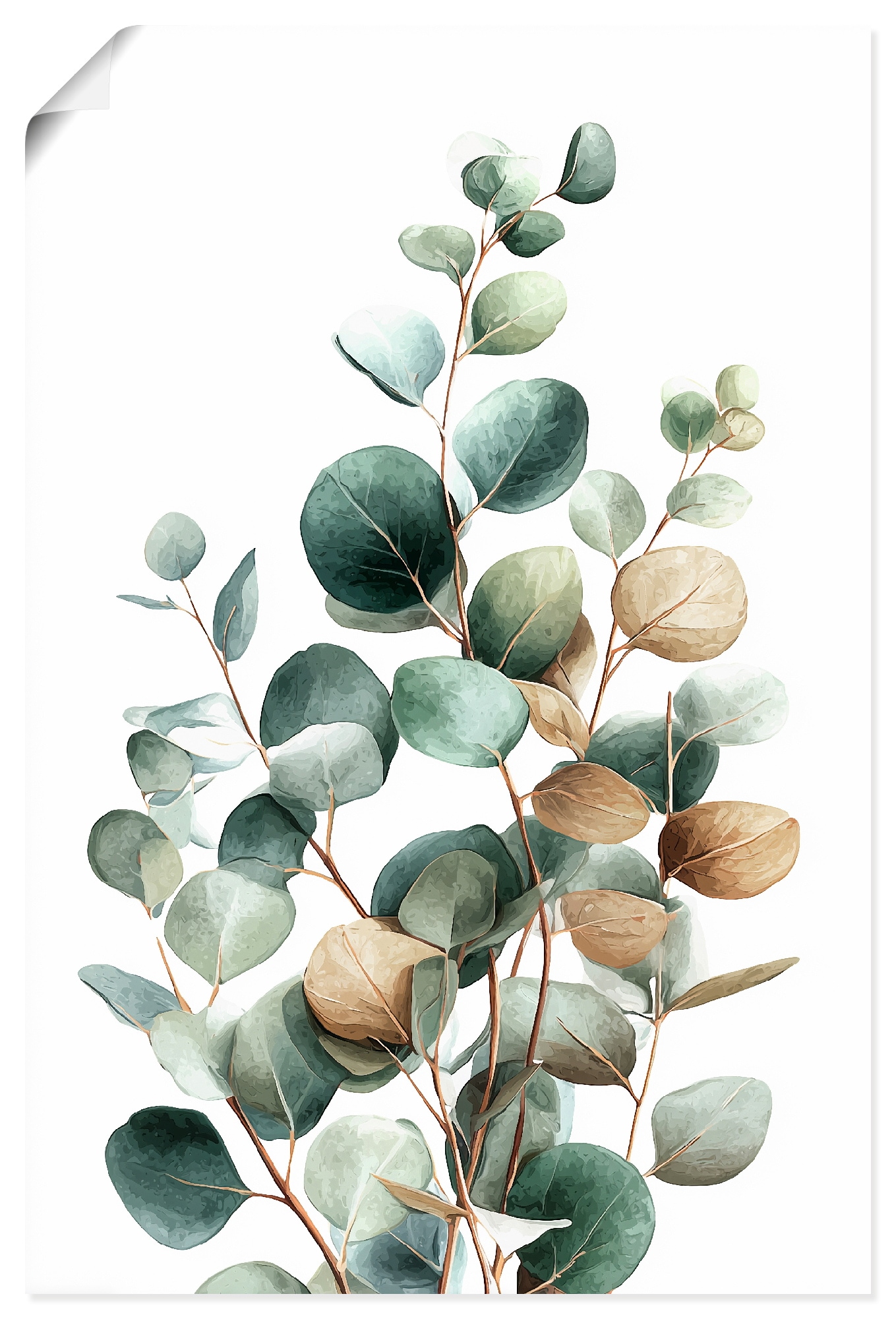 Wandbild ARTLAND "Eukalyptus", farbe bild(er): grün, B:80cm H:120cm, Papier, Bilder, als Alubild, Leinwandbild, Poster, Wandaufkleber in verschied. Größen