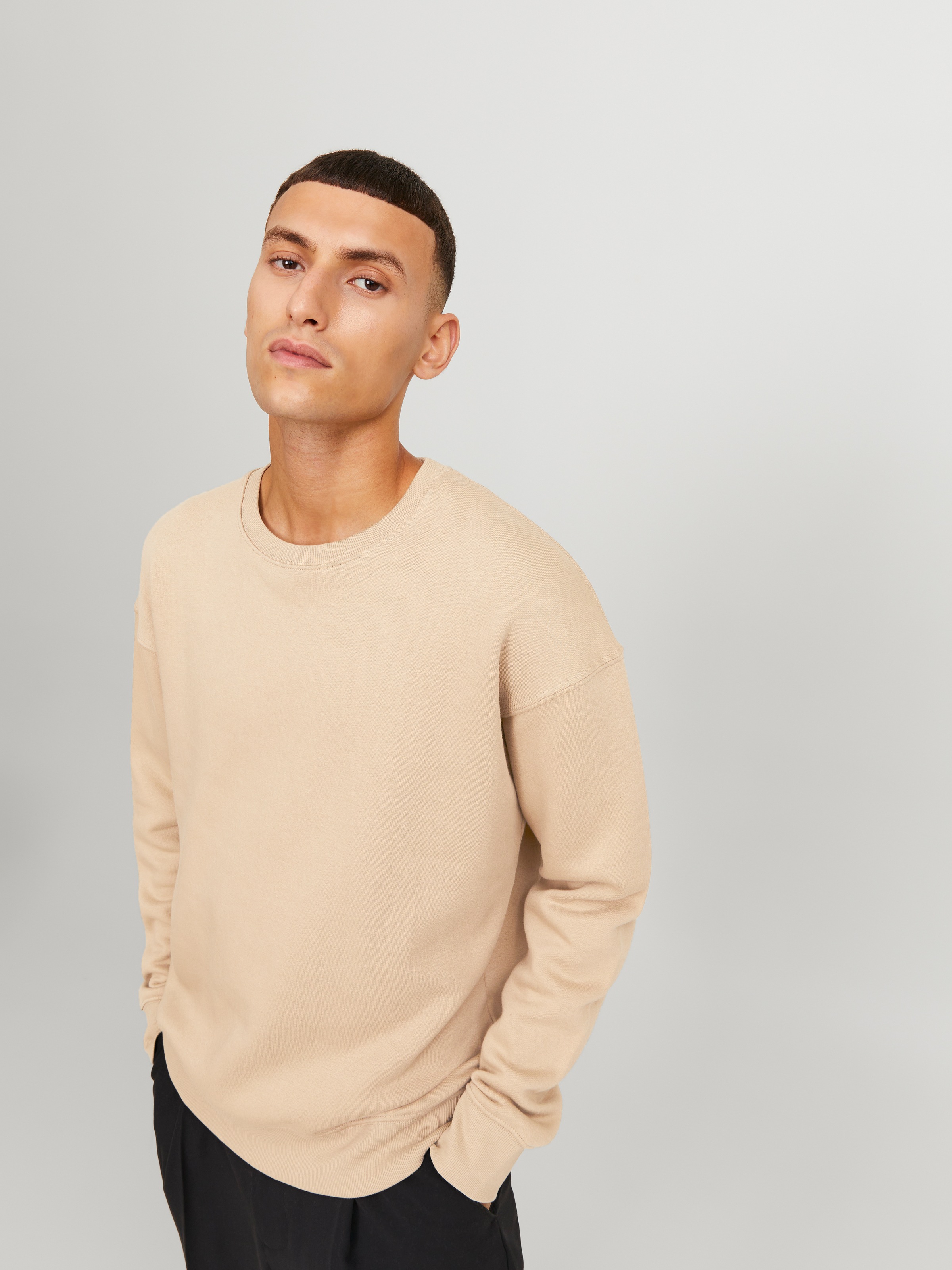 Jack & Jones Sweatshirt »JJESTAR BASIC SWEAT CREW NECK NOOS«
