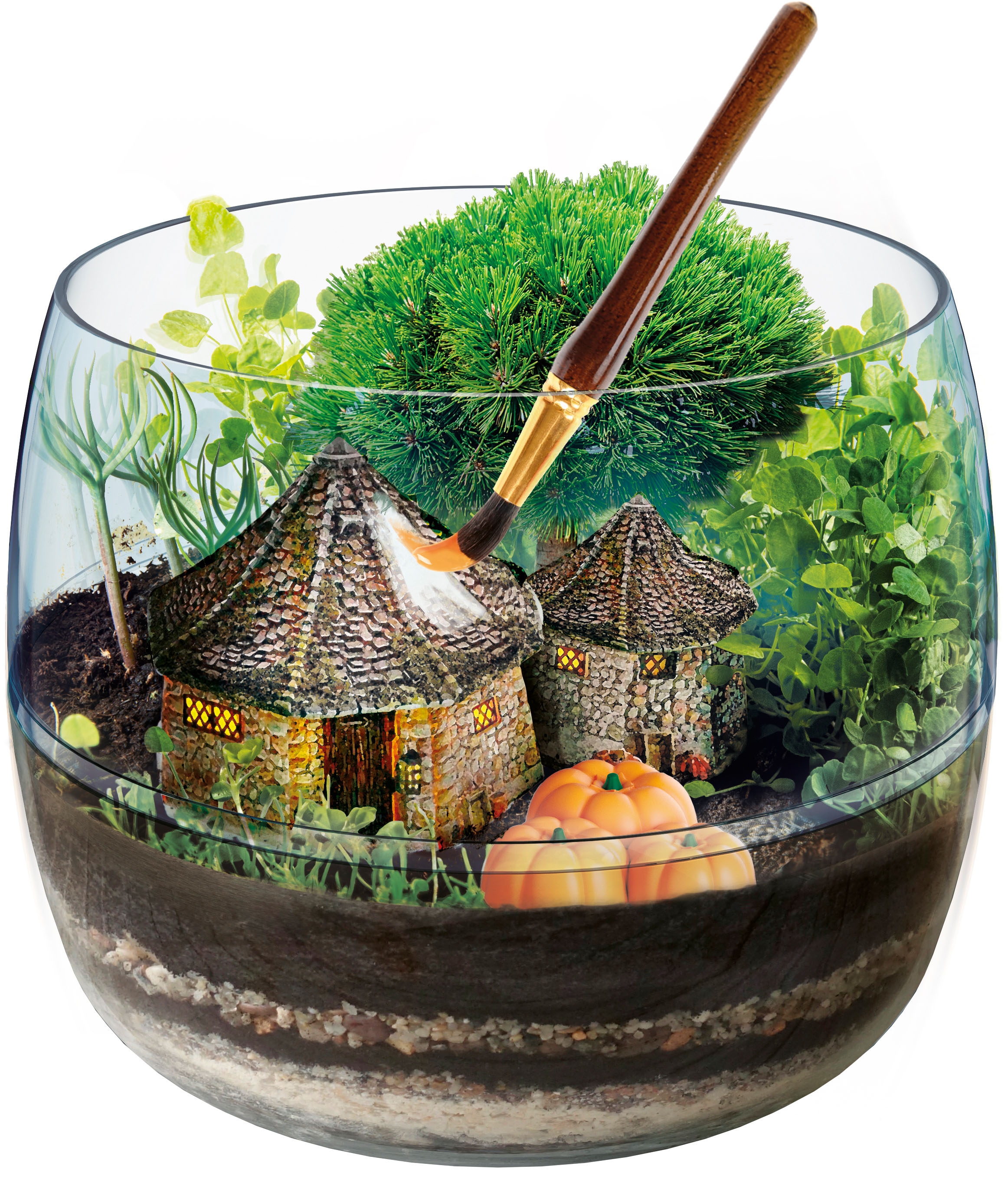  H Potter Terrarium