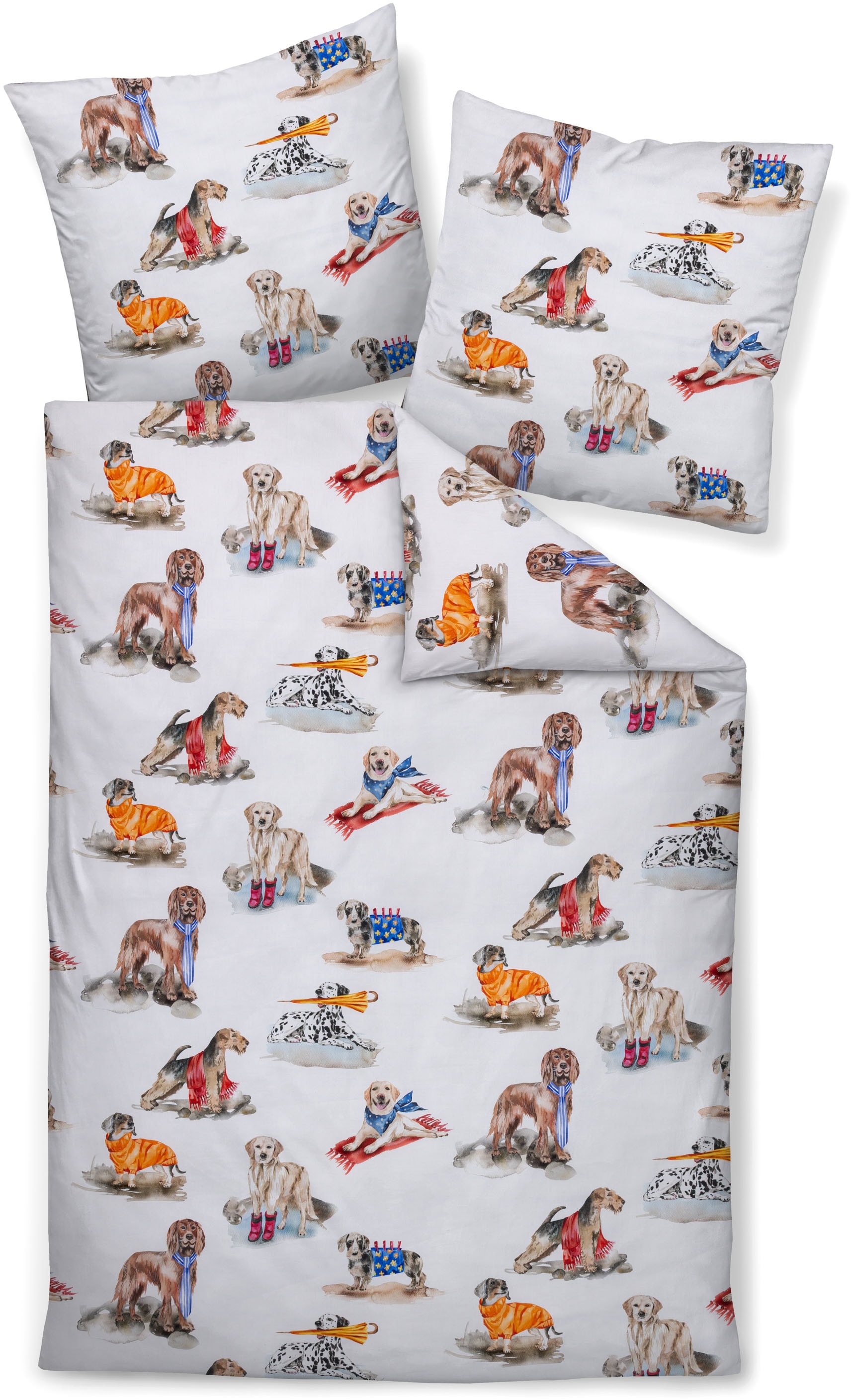 Janine Bettwäsche "modern art S 42169 09" mit Reißverschluss günstig online kaufen