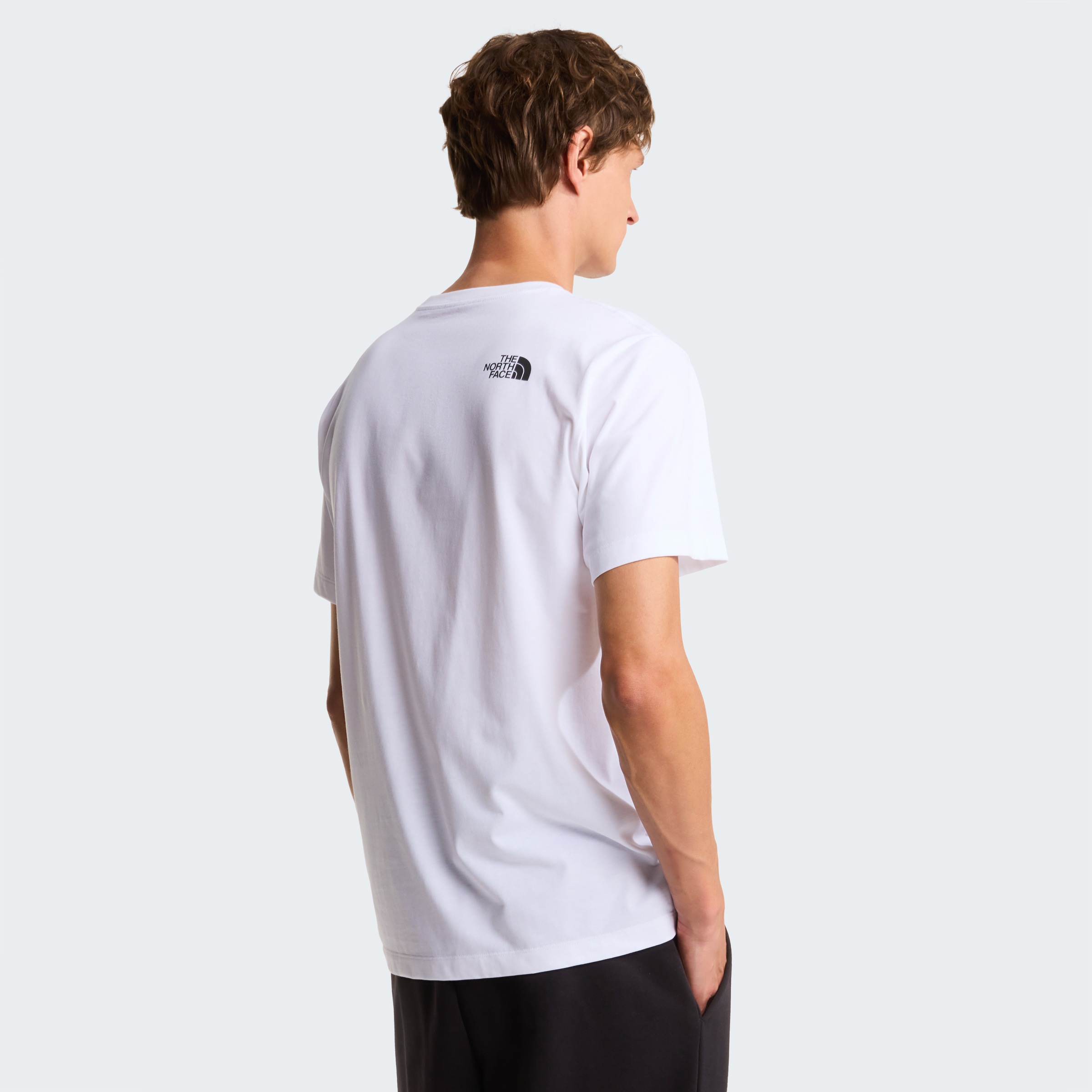 The North Face T-Shirt "M EVOLUTION BOX HALF DOME REGULAR SHORT SLEEVE TEE" günstig online kaufen