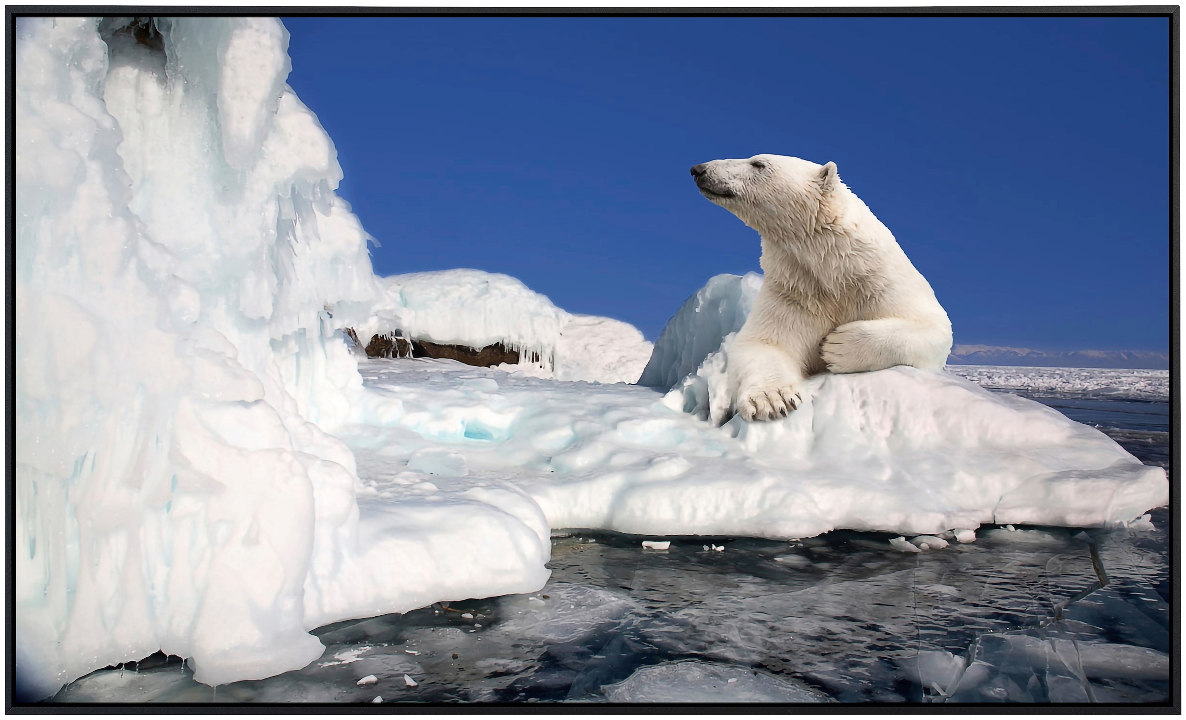 Papermoon Infrarotheizung »Eisbär«, sehr angenehme Strahlungswärme