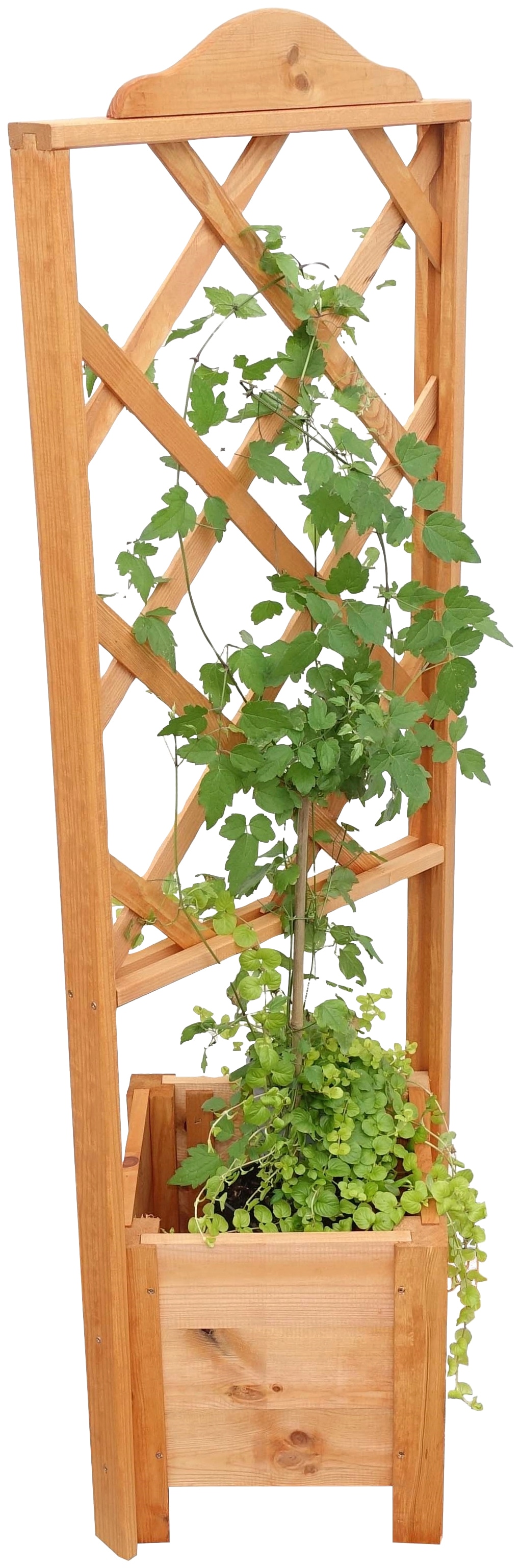 promadino Pflanzentreppe "Eckelement "Botanica" 140 cm", BxTxH: 47x45x140 c günstig online kaufen