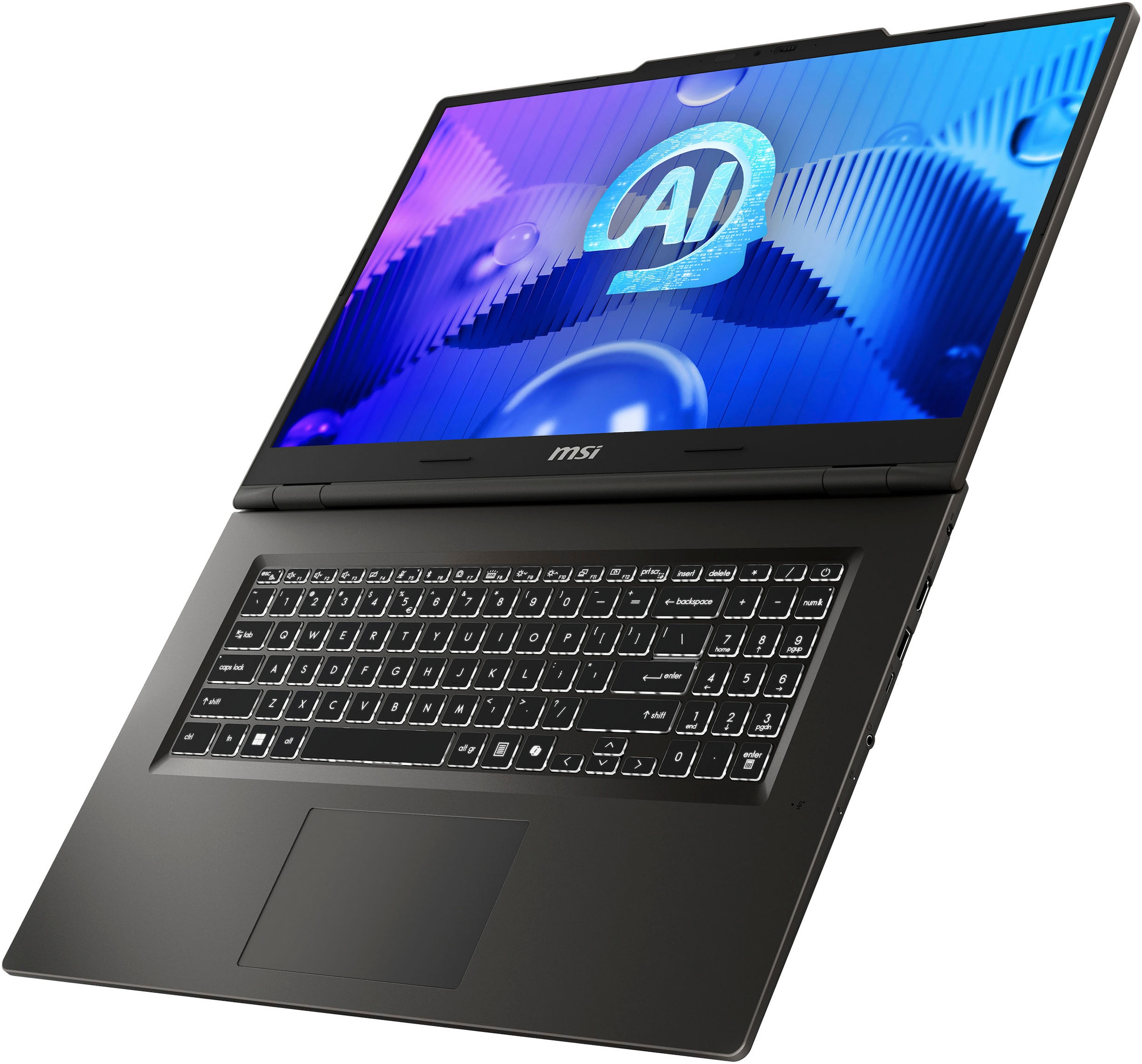 MSI Notebook »Venture Pro 17 AI A1UDXG-017« 43,9 cm / 17,3 ″ Intel Core Ultra 5 GeForce RTX 3050 1.000 GB SSD