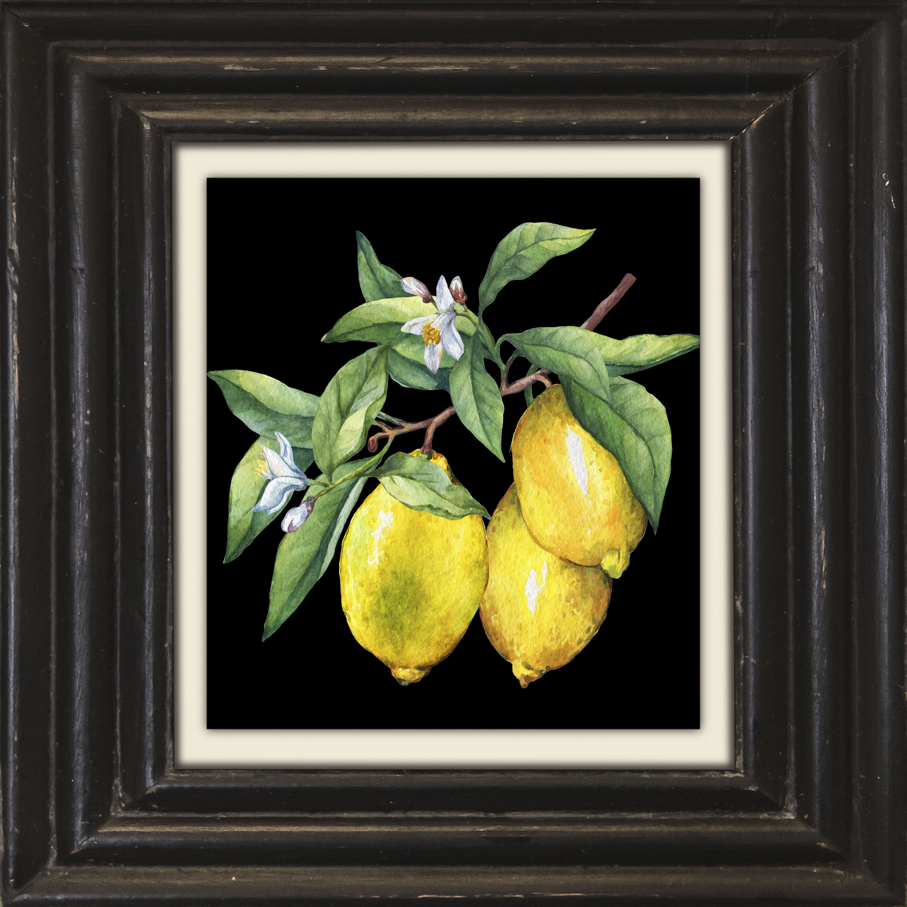 queence Leinwandbild "Zitronen" Kunst Obst Obst Bilder Stillleben Premium-Leinwandstoff, Handarbeit aus Deutschland, 40x40cm