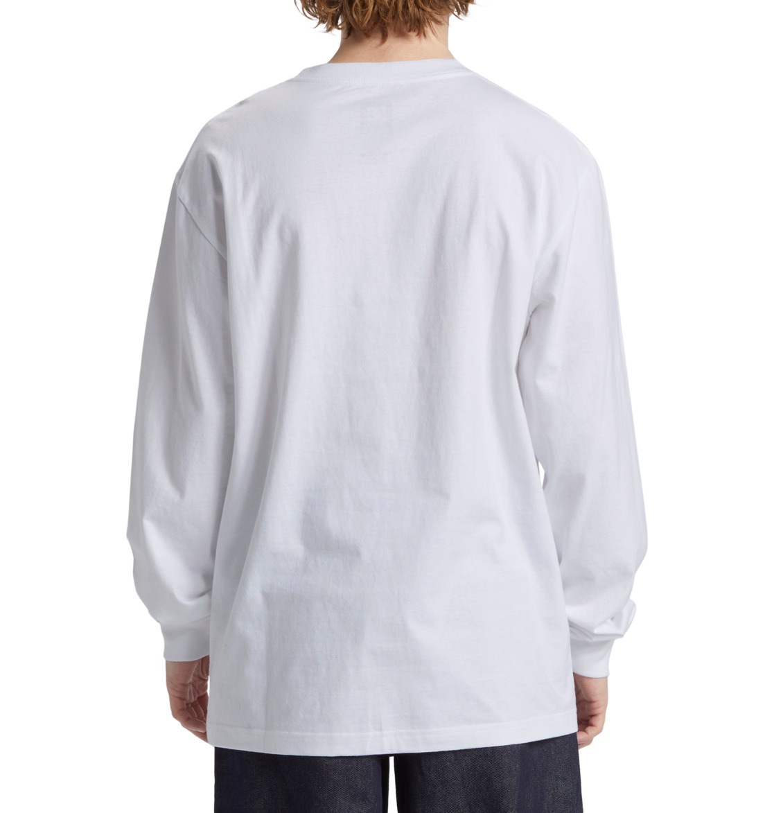 DC Shoes Langarmshirt »DC Star Hls«