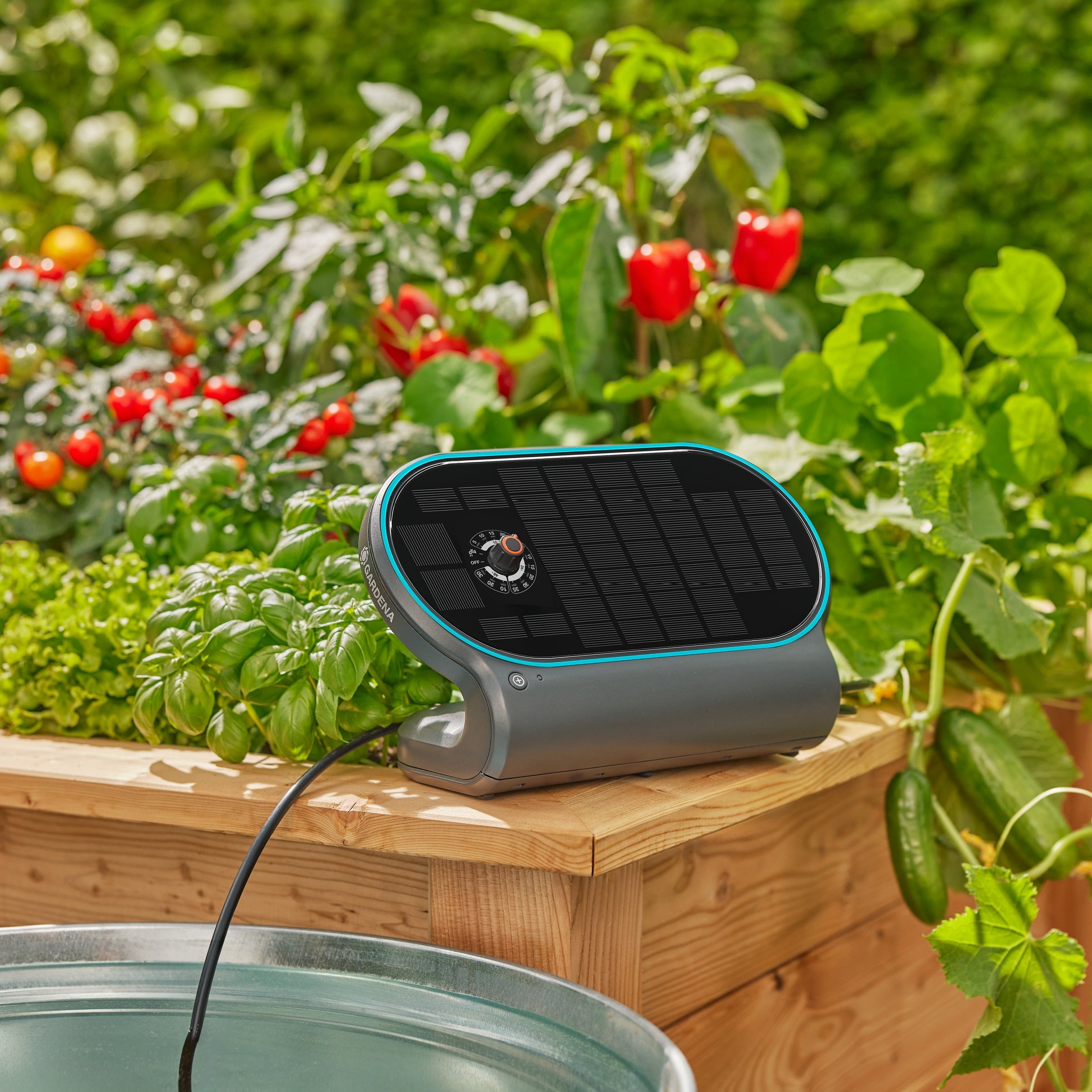 GARDENA Bewässerungssteuerung »Solar-Bewässerung AquaBloom L Set« automatische Bewässerung