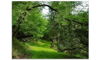 Glasbild »Grüner Weg durch den Wald«, Wald, (1 St.)