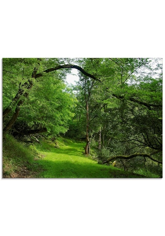 Glasbild »Grüner Weg durch den Wald«, Wald, (1 St.)