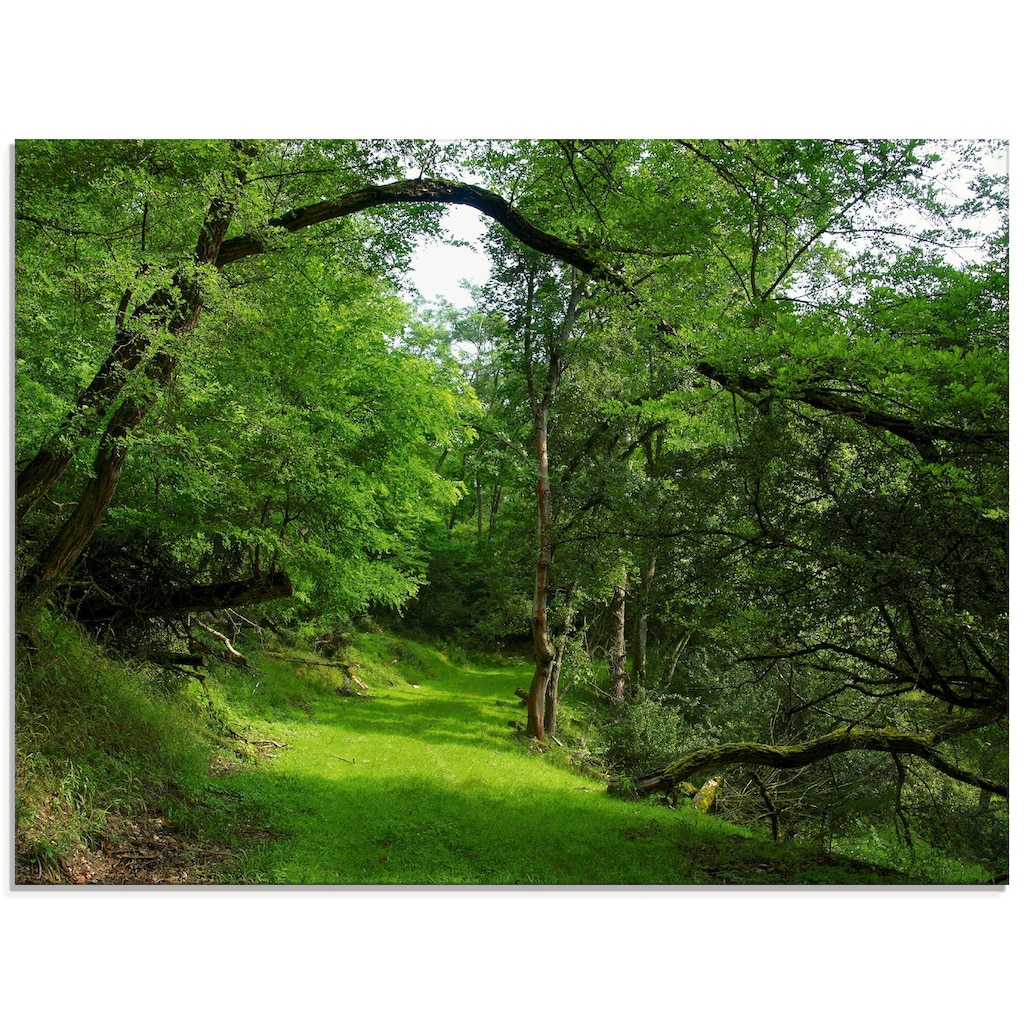 Artland Glasbild »Grüner Weg durch den Wald«, Wald, (1 St.)