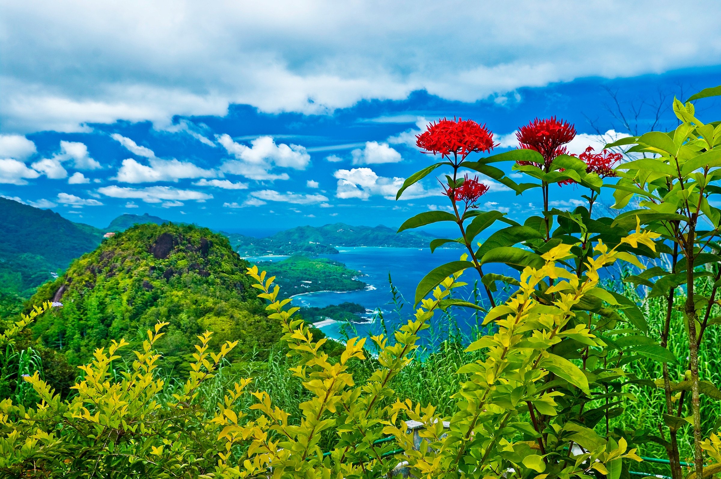 Fototapete »INSEL-SEYCHELLEN BLUMEN KÜSTE GEBIRGE MEER PANORAMA«