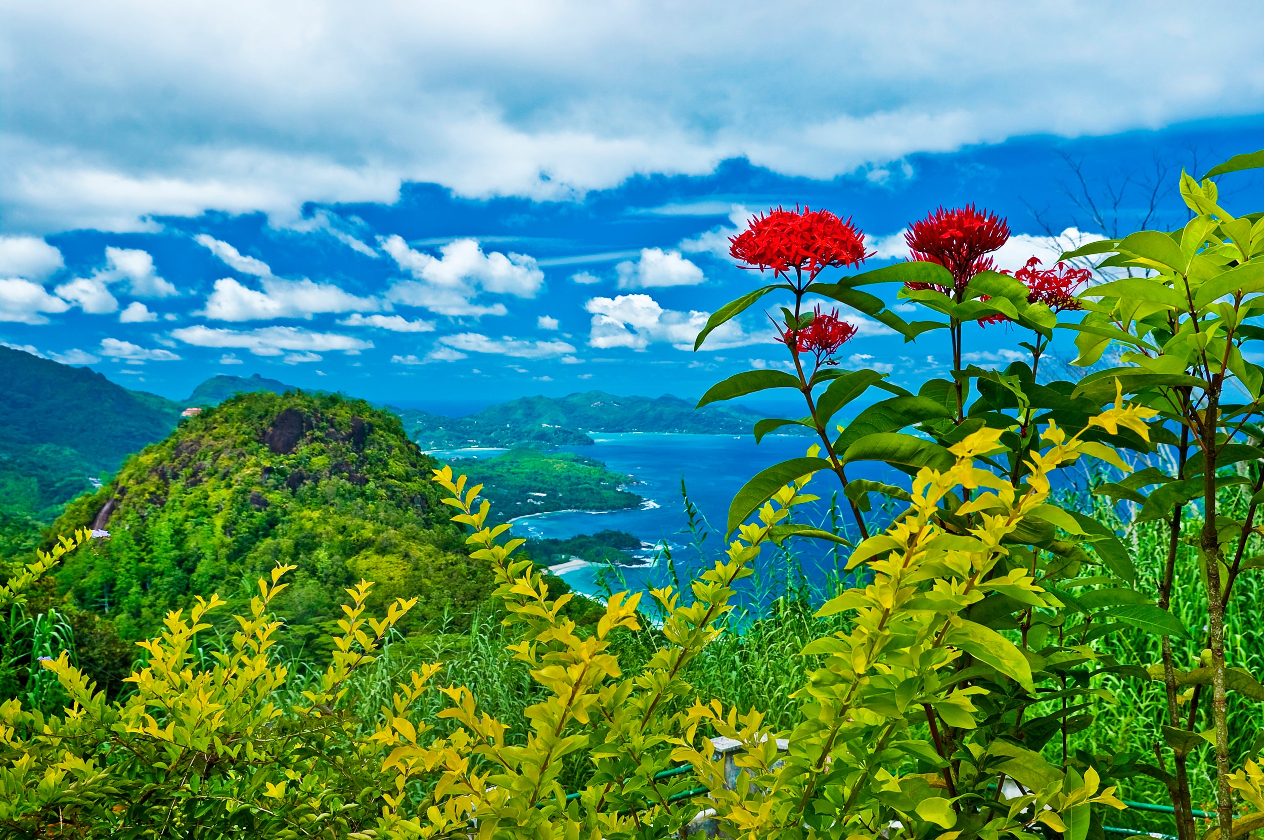 Papermoon "INSEL-SEYCHELLEN BLUMEN KÜSTE GEBIRGE MEER PANORAMA"