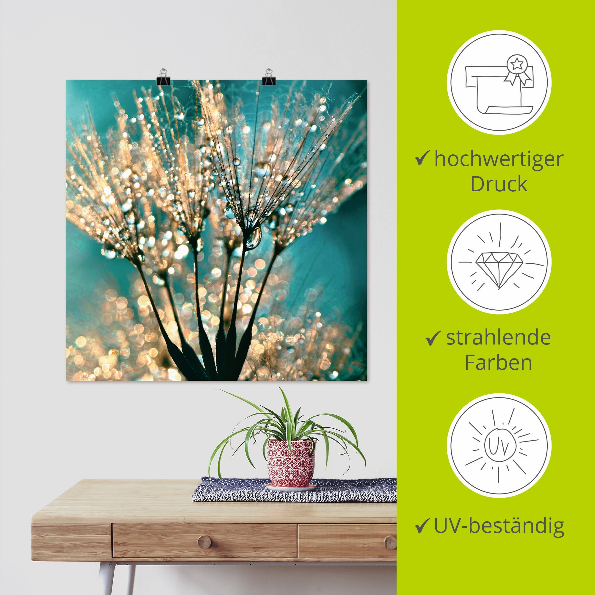 Artland Wandbild »Pusteblume Schirmchen abstrakt«, Blumen, (1 St.), als Alubild, Outdoorbild, Leinwandbild, Poster, Wandaufkleber