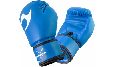 Ju-Sports Boxhandschuhe »Training« kaufen