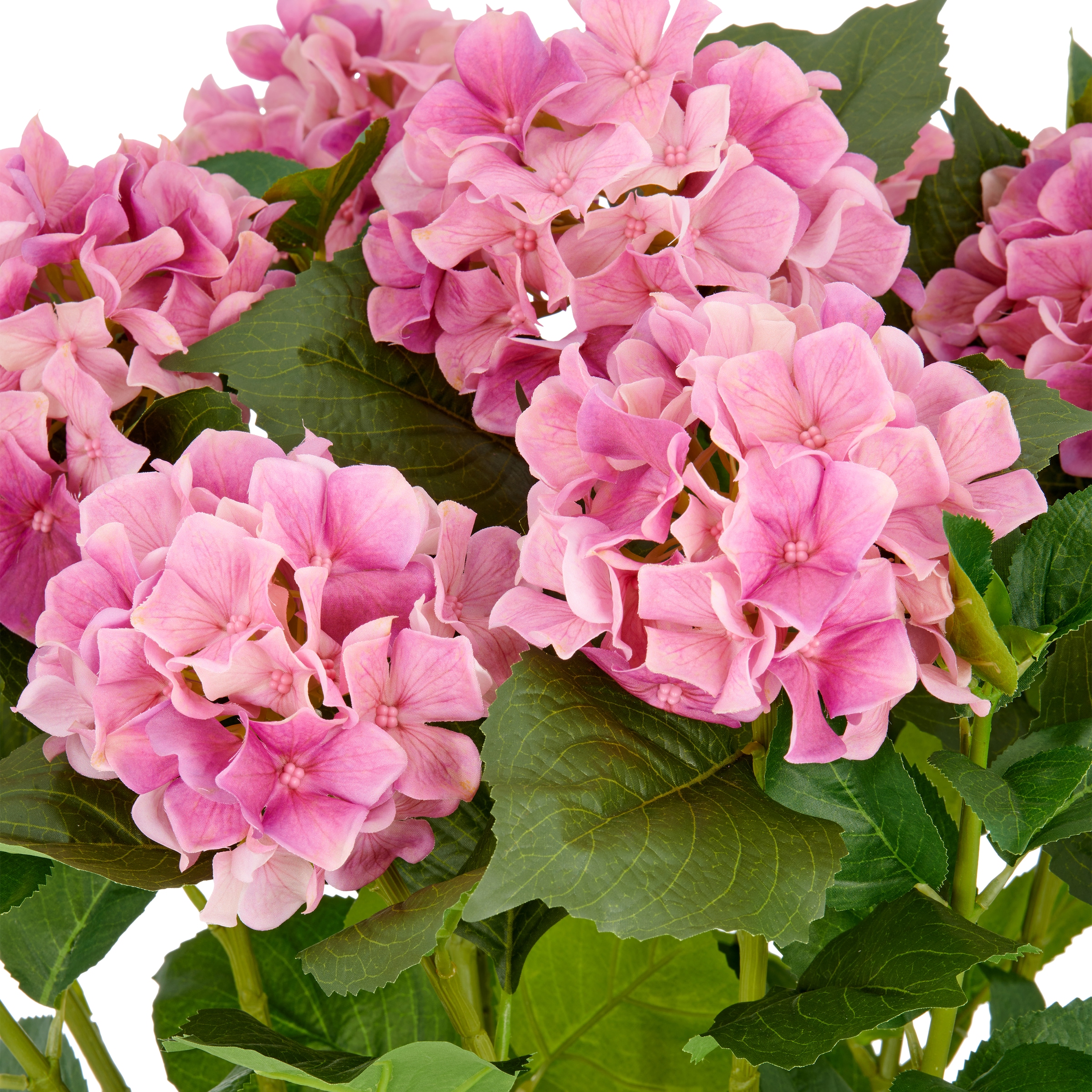 Creativ green Kunstpflanze »Hortensie«, im eleganten Topf