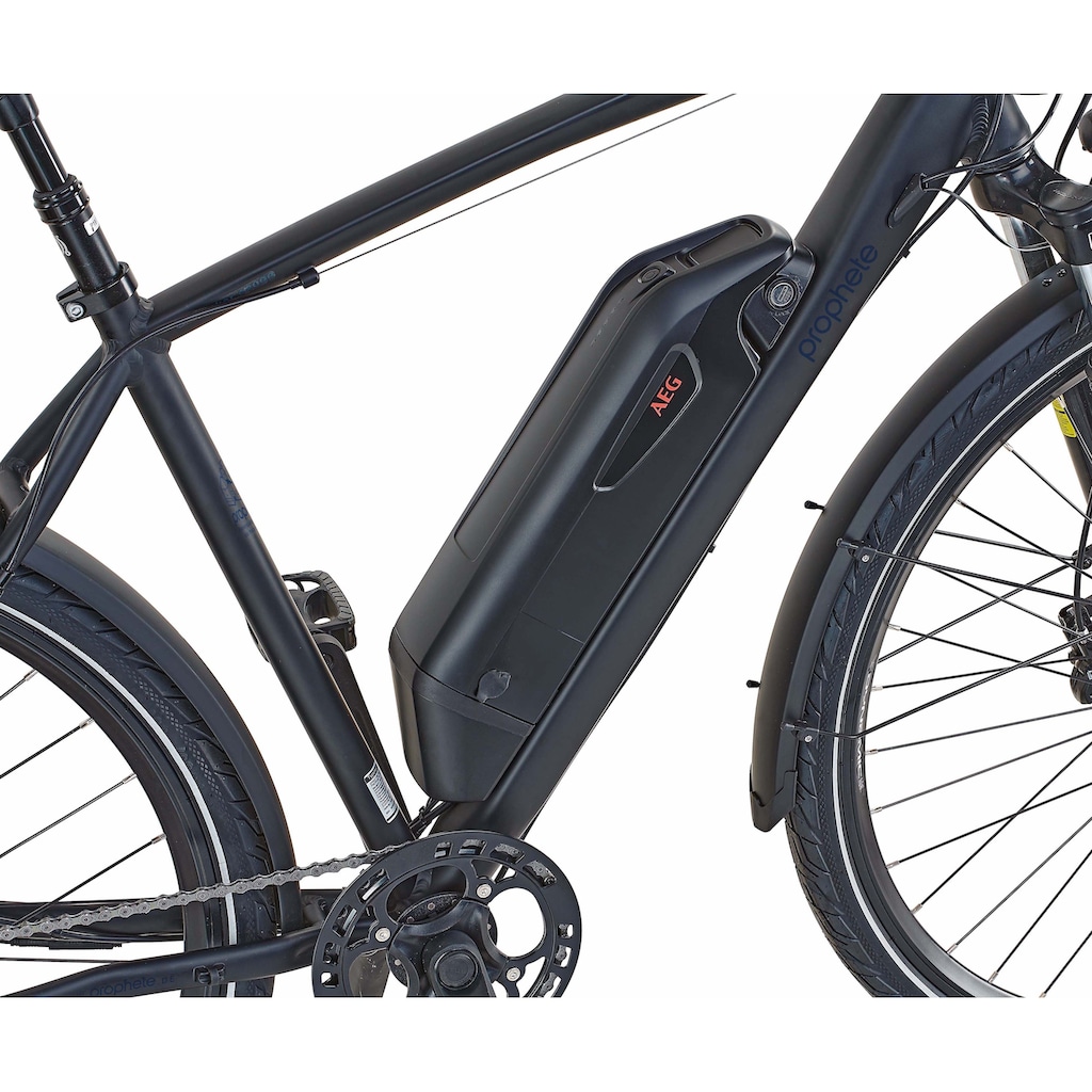 Prophete E-Bike »Entdecker e2000«, 10 Gang, Shimano, Deore, Heckmotor 250 W, (mit Lenkertasche-mit Seitentasche)