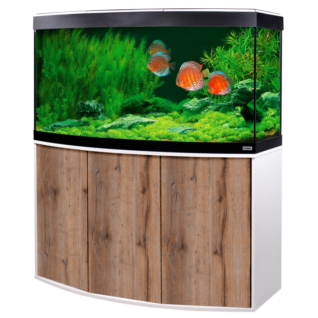 FLUVAL Aquarien-Set »Vicenza 260 mit App-Steuerung«