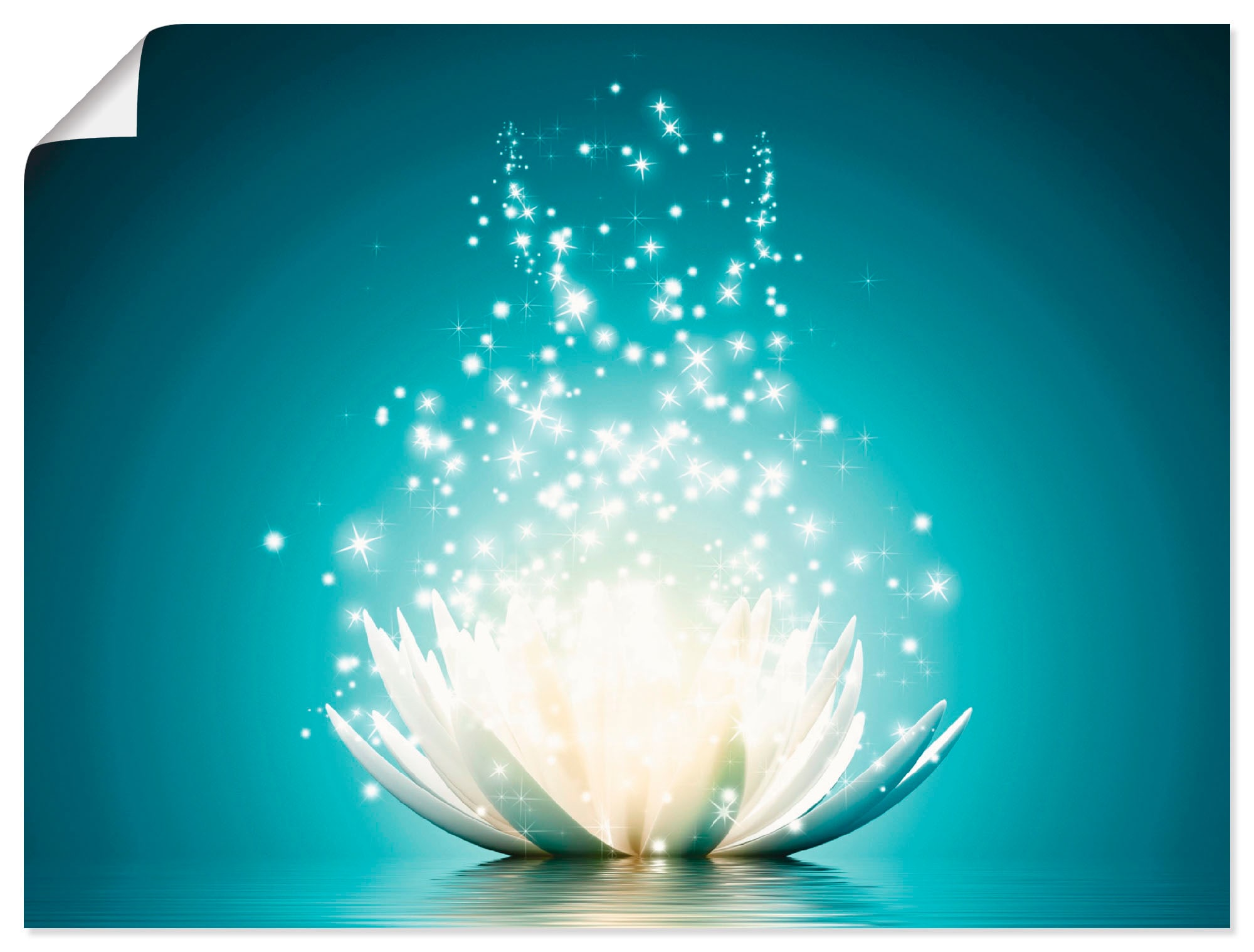 Artland Wandbild "Magie der Lotus-Blume" Blumen 1 Stk. tlg. als Alubild, Ou günstig online kaufen