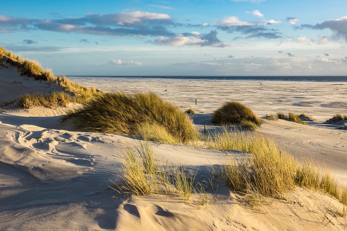 Papermoon 1100000002199 "DÜNEN-AMRUM NORDSEE STRAND MEER INSEL HOLSTEIN GRAS XXL"