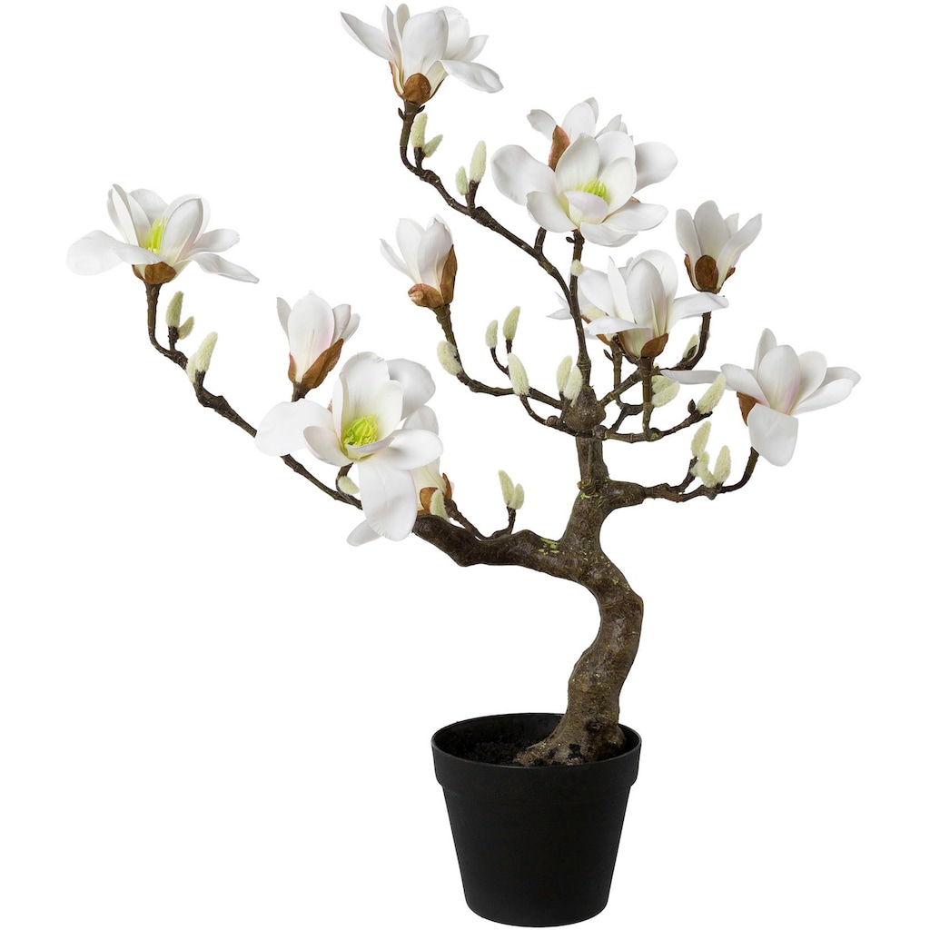 Creativ green Kunstpflanze »Magnolienbaum«