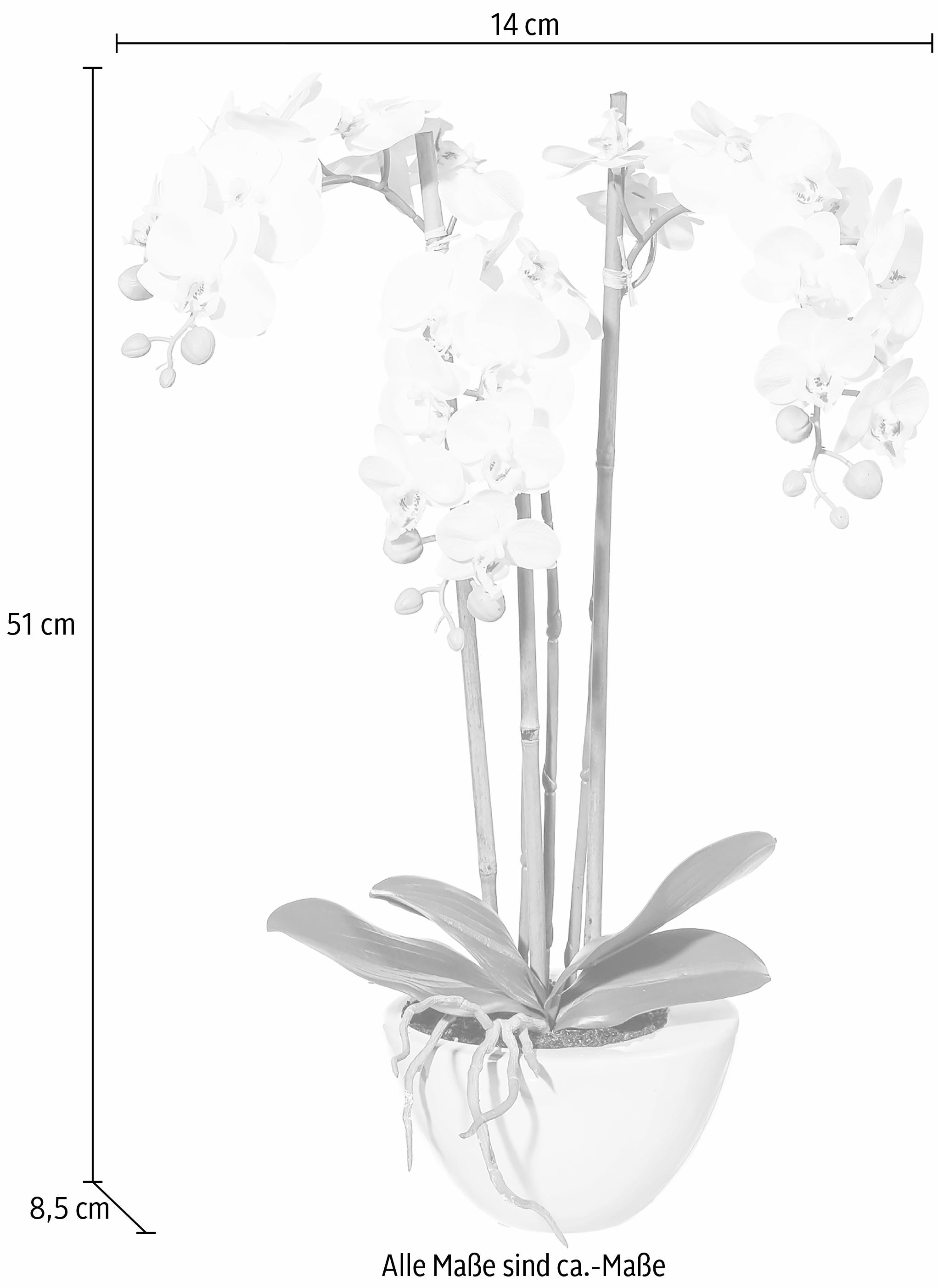 Creativ green Kunstpflanze »Mini Orchidee«