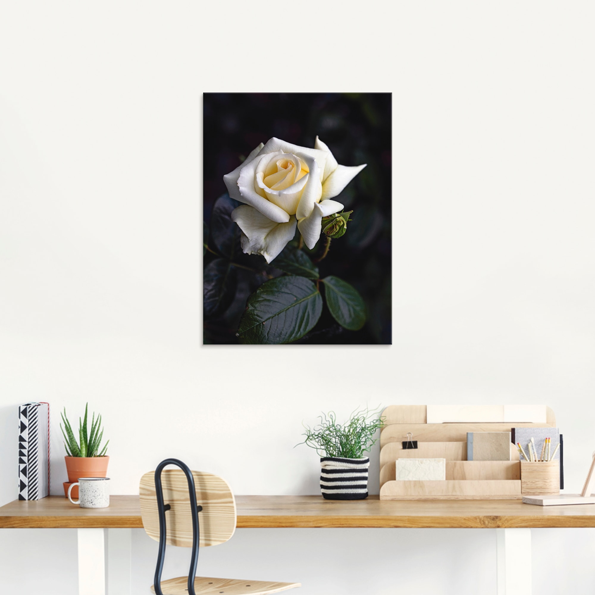 Artland Glasbild »Weiß-gelbe Rose«, Blumen, (1 St.), in verschiedenen Größen
