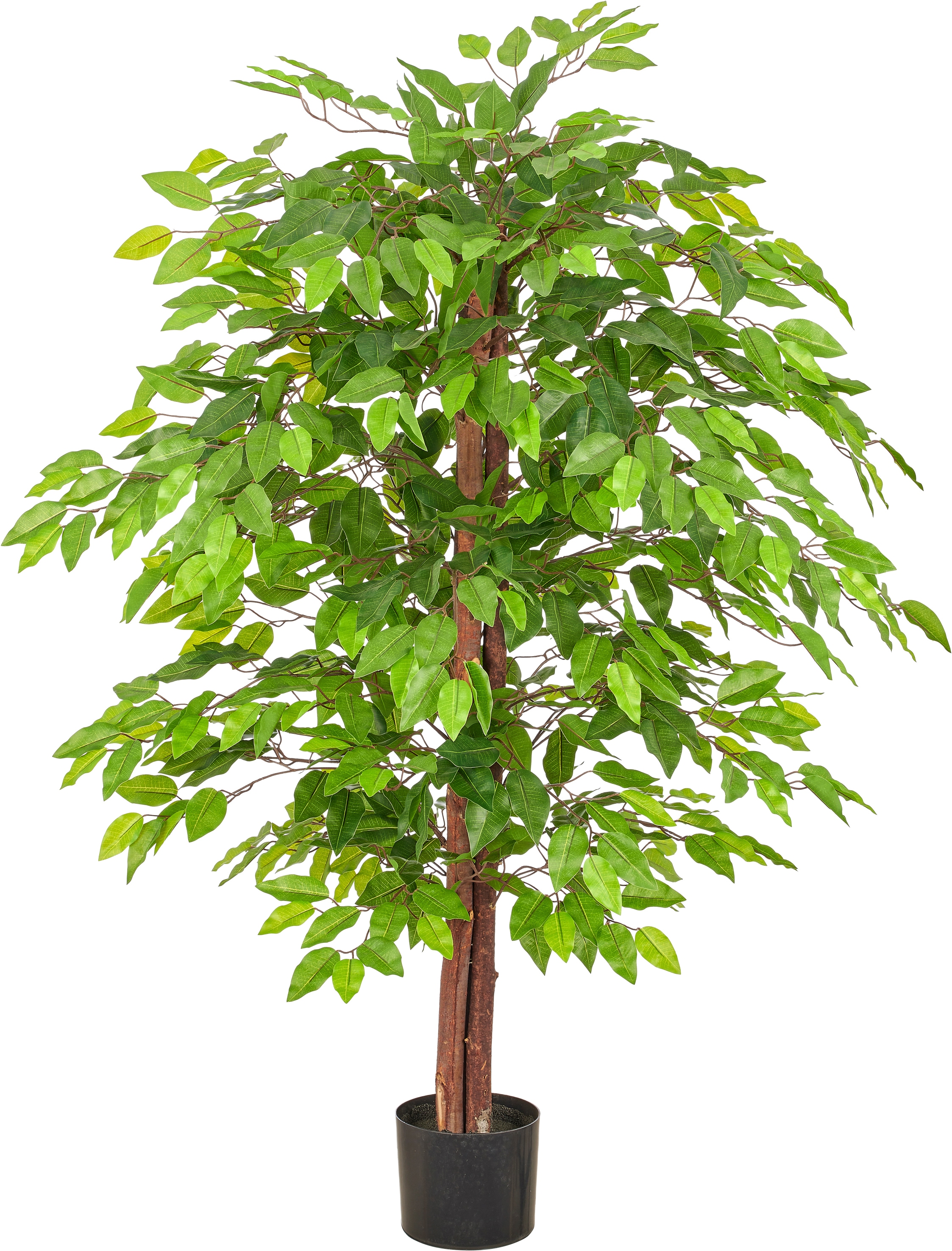 Creativ green Kunstbaum "Ficus benjamina" mit schönem Blattwerk