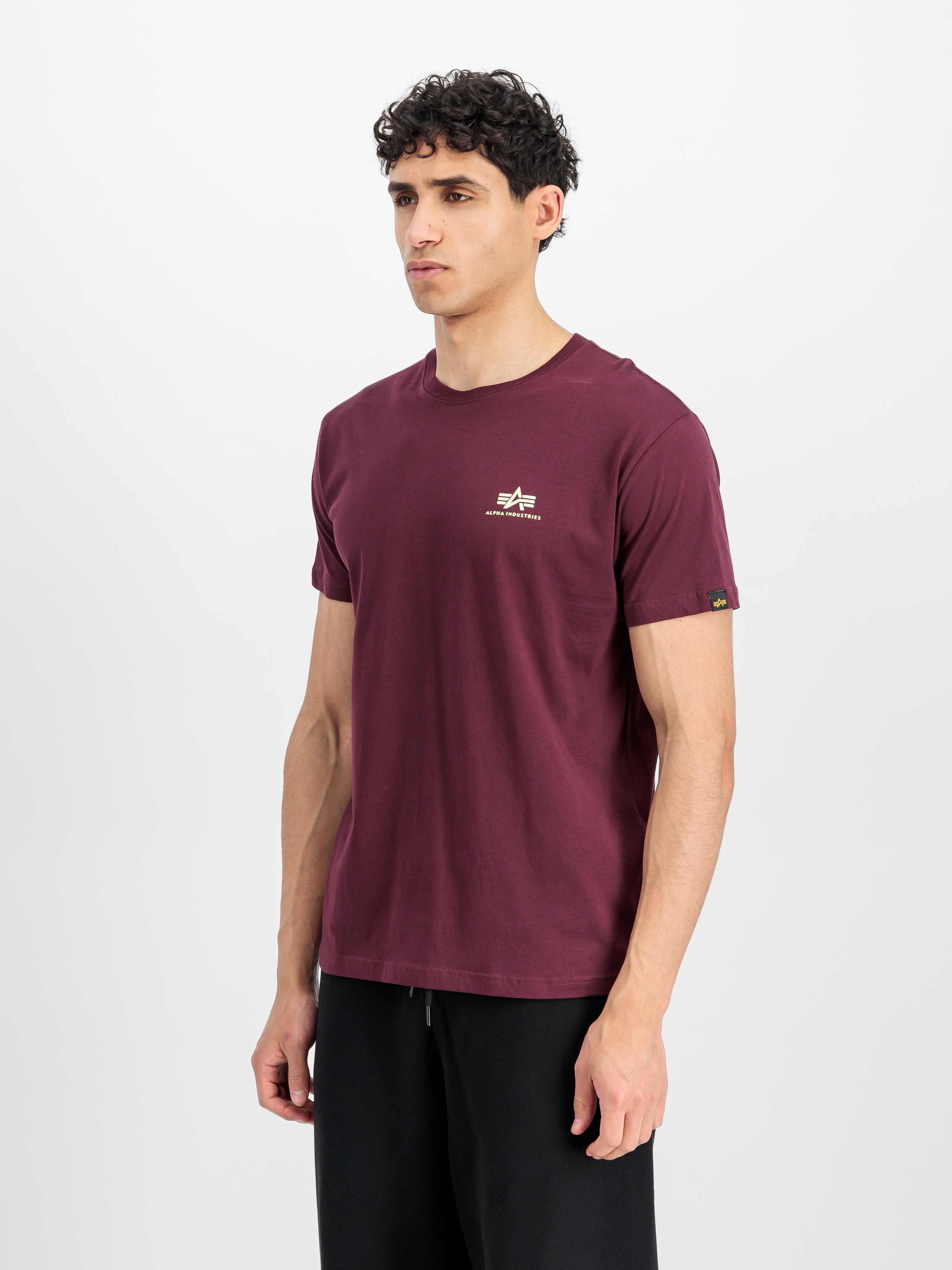 Alpha Industries Rundhalsshirt "BASIC T SMALL LOGO" günstig online kaufen
