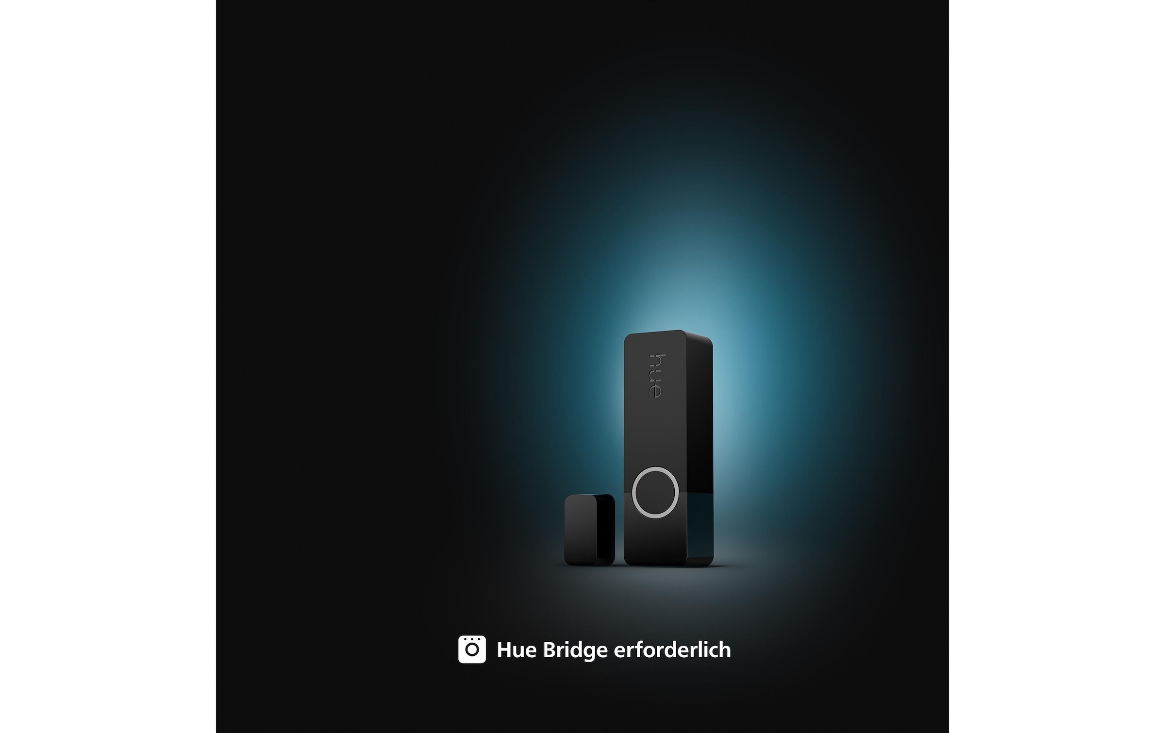Philips Hue Smart-Home-Steuerelement »Schwarz«