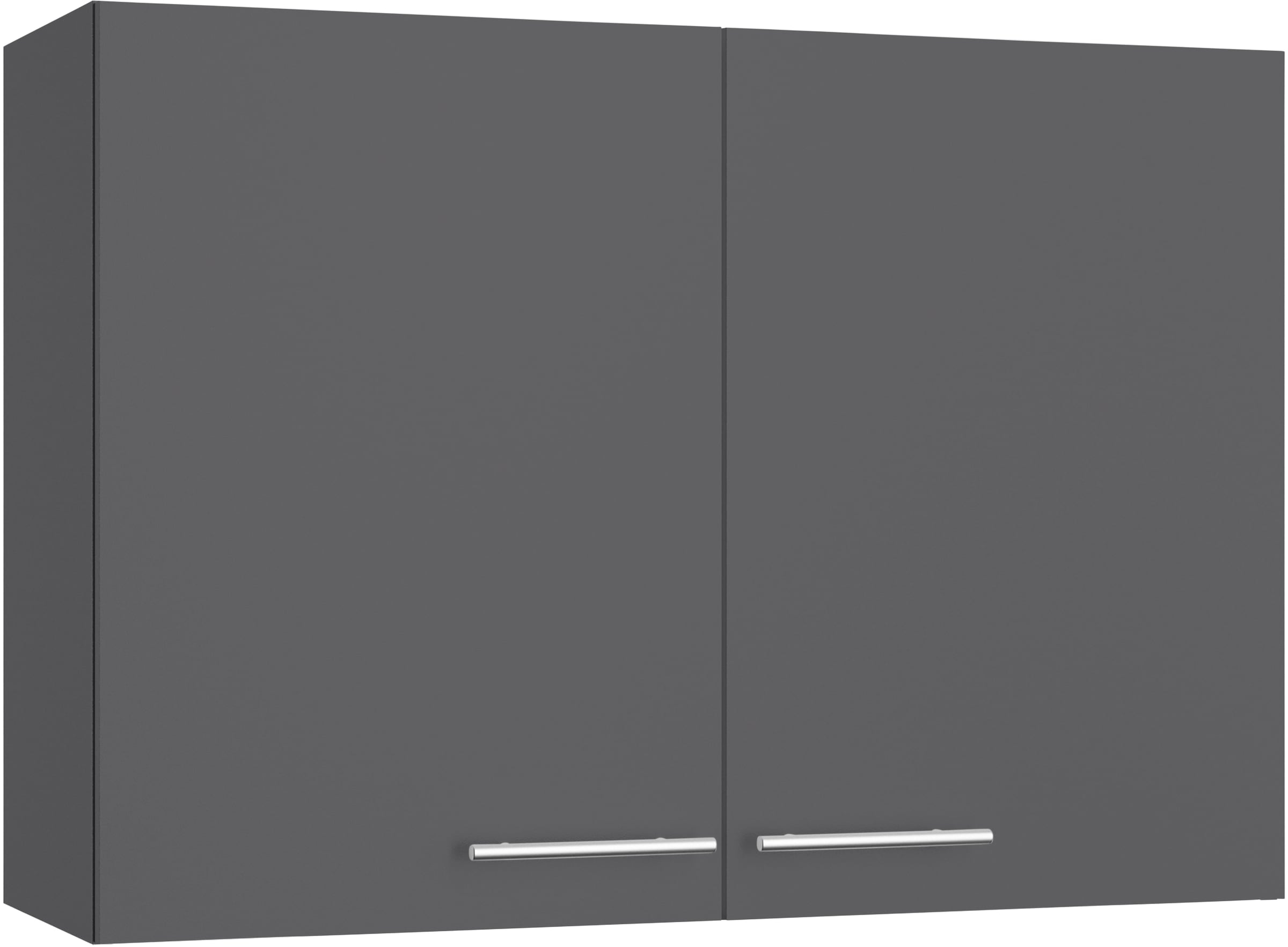 OPTIFIT Hängeschrank "Lilly", Breite 100 cm, 2 Türen, 4 Einlegeböden