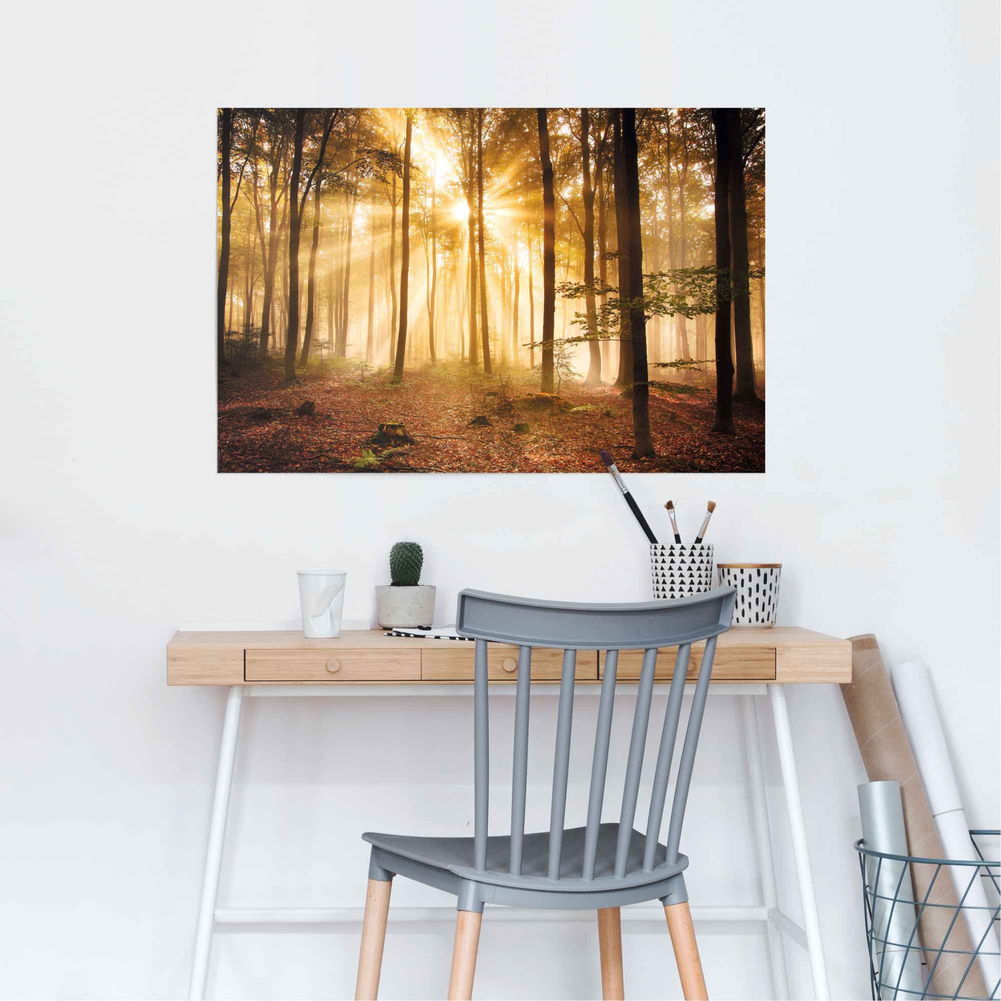 Reinders Poster "Erleuchteter Wald", (1 St.) günstig online kaufen