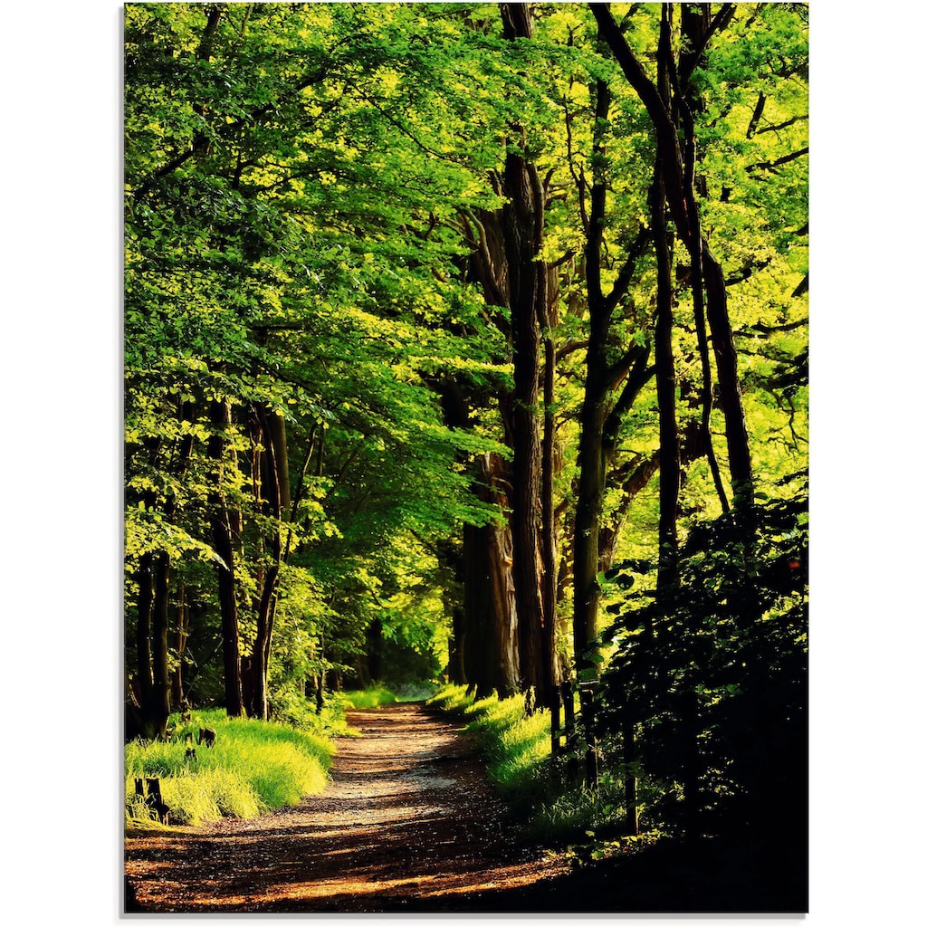 Artland Glasbild »Weg im Wald«, Wald, (1 St.)