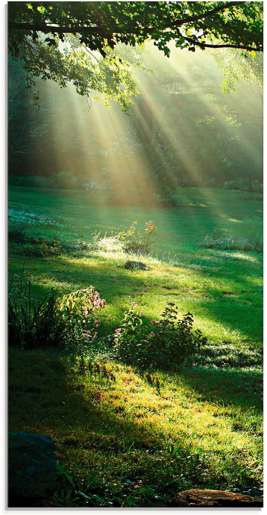 Artland Glasbild "Lichtkegel", Wald, (1 St.), in verschiedenen Größen