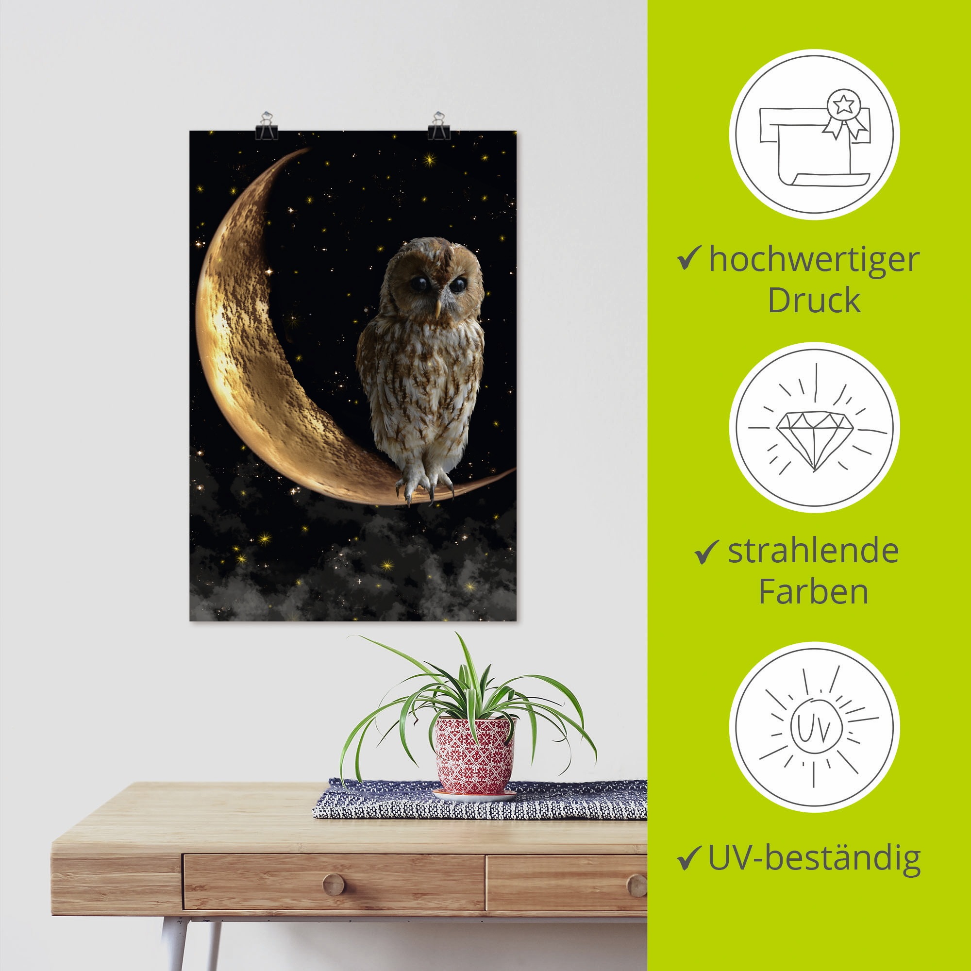 Artland Wandbild »Nachteule«, Vögel, (1 St.), als Alubild, Outdoorbild, Leinwandbild, Poster in verschied. Größen